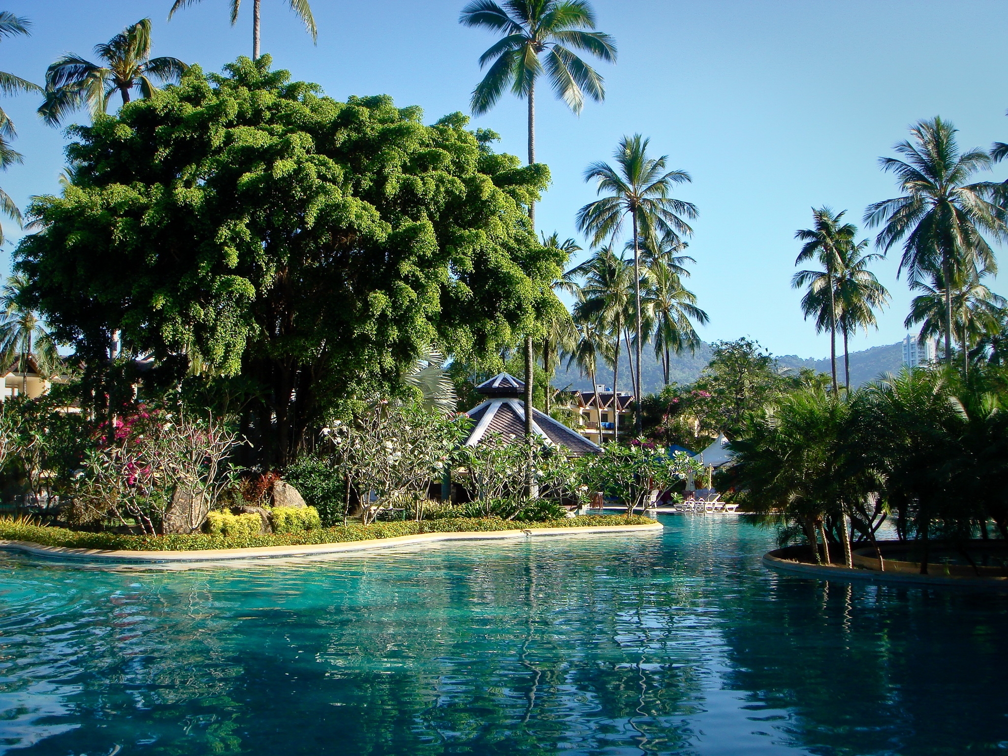 phuket, cities, palms, park, pool, thailand