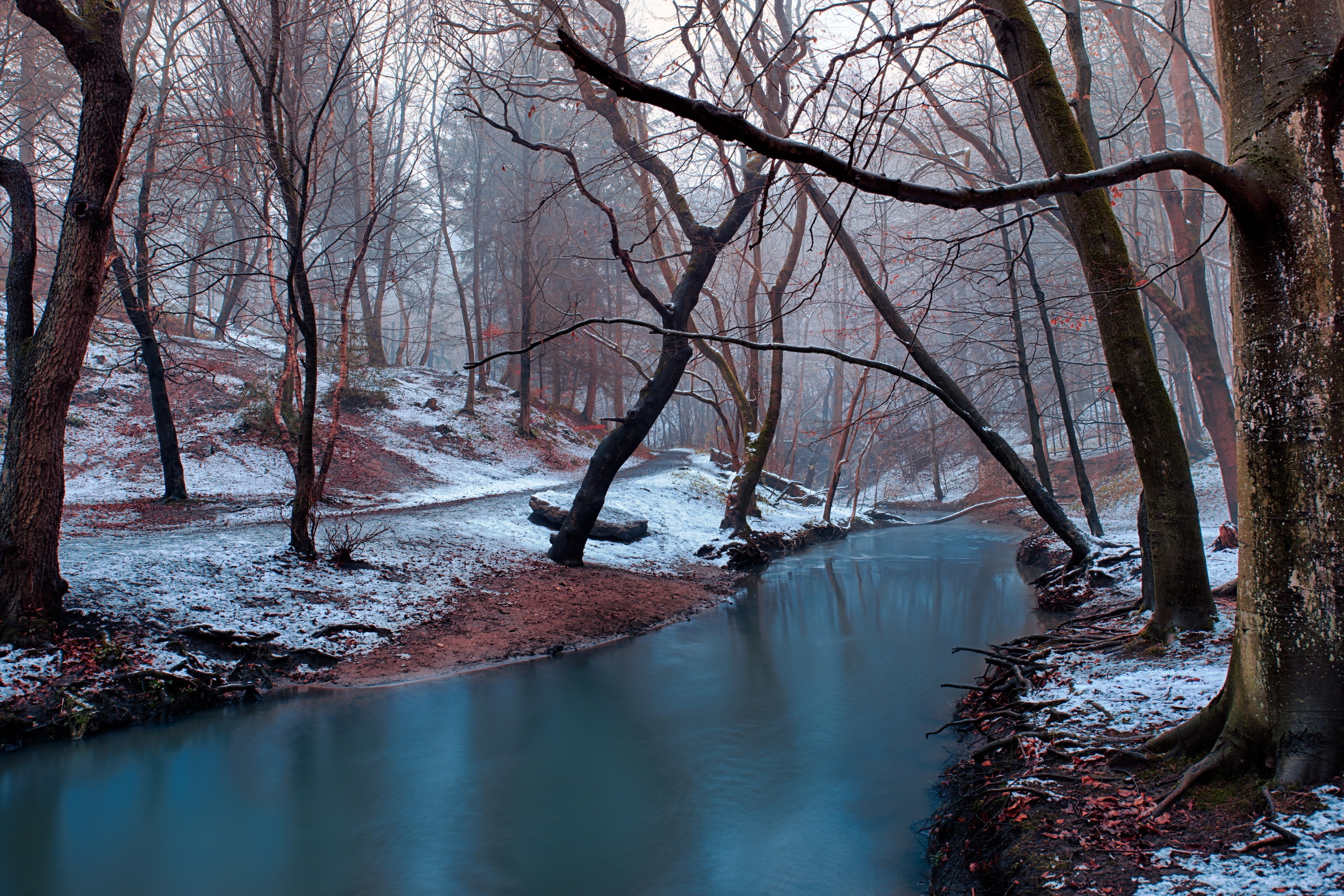 Download mobile wallpaper Winter, Nature, Forest, Earth, River for free.