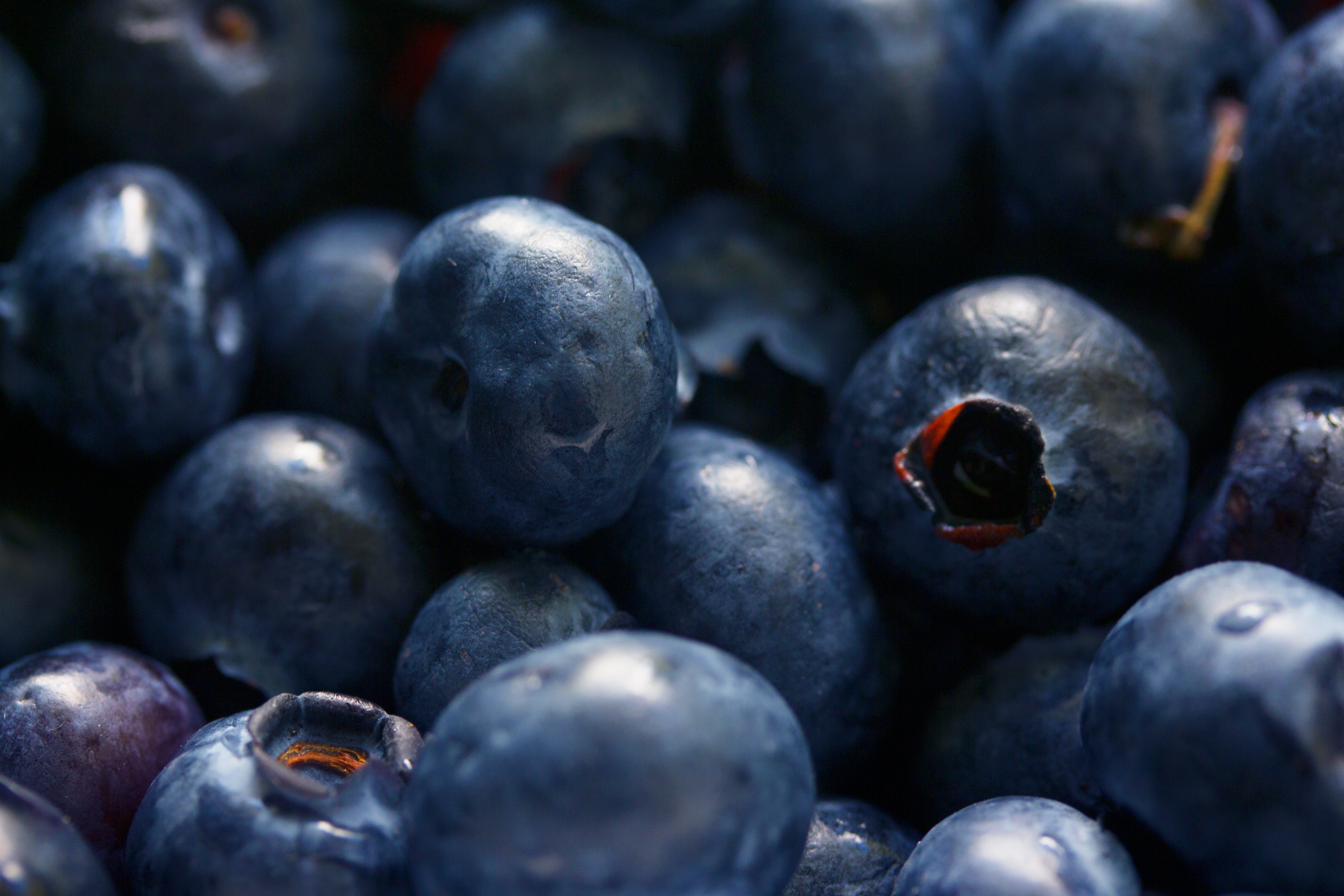 food, bilberries, berries, close up desktop HD wallpaper