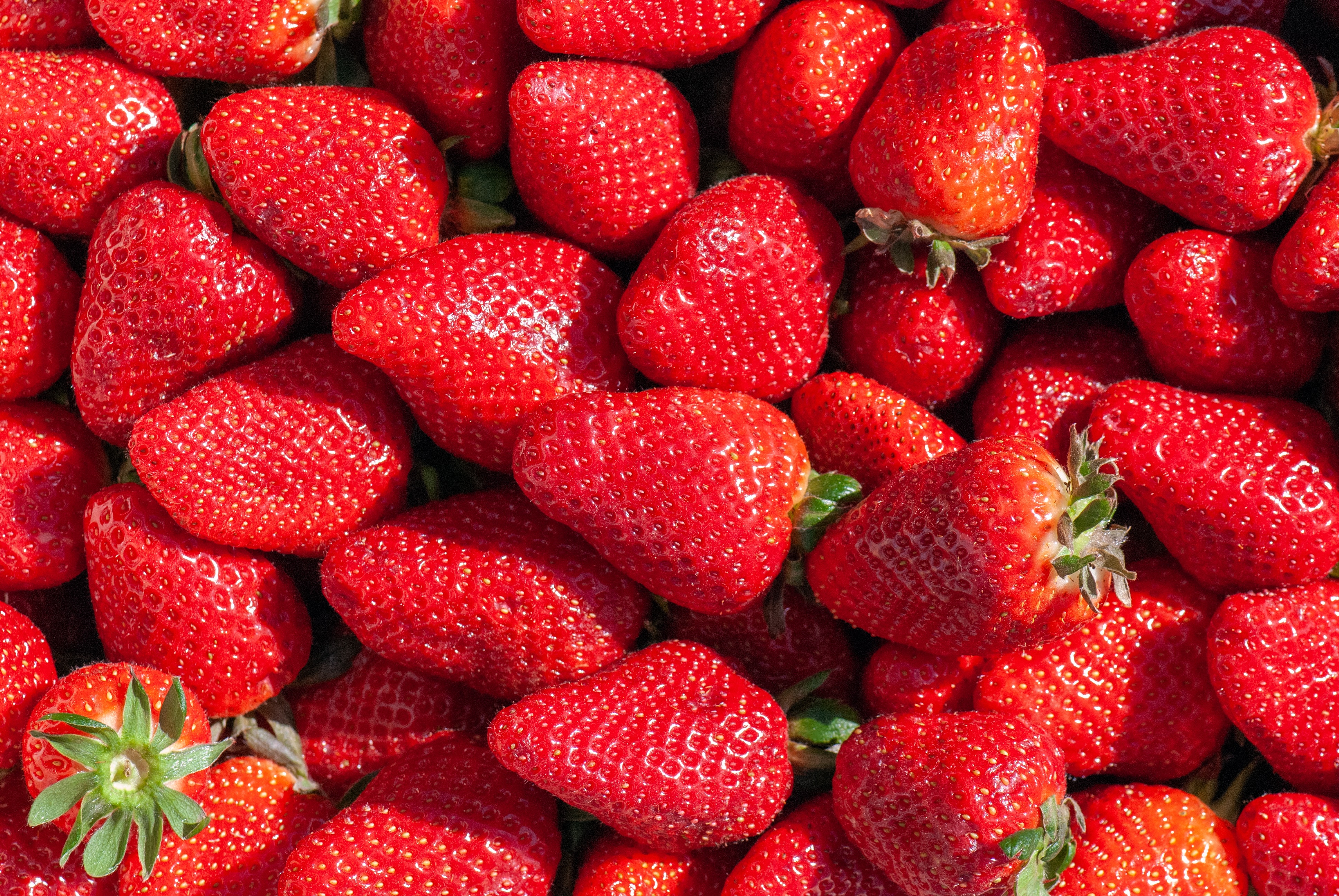 Free download wallpaper Food, Berry, Fruit, Strawberry on your PC desktop