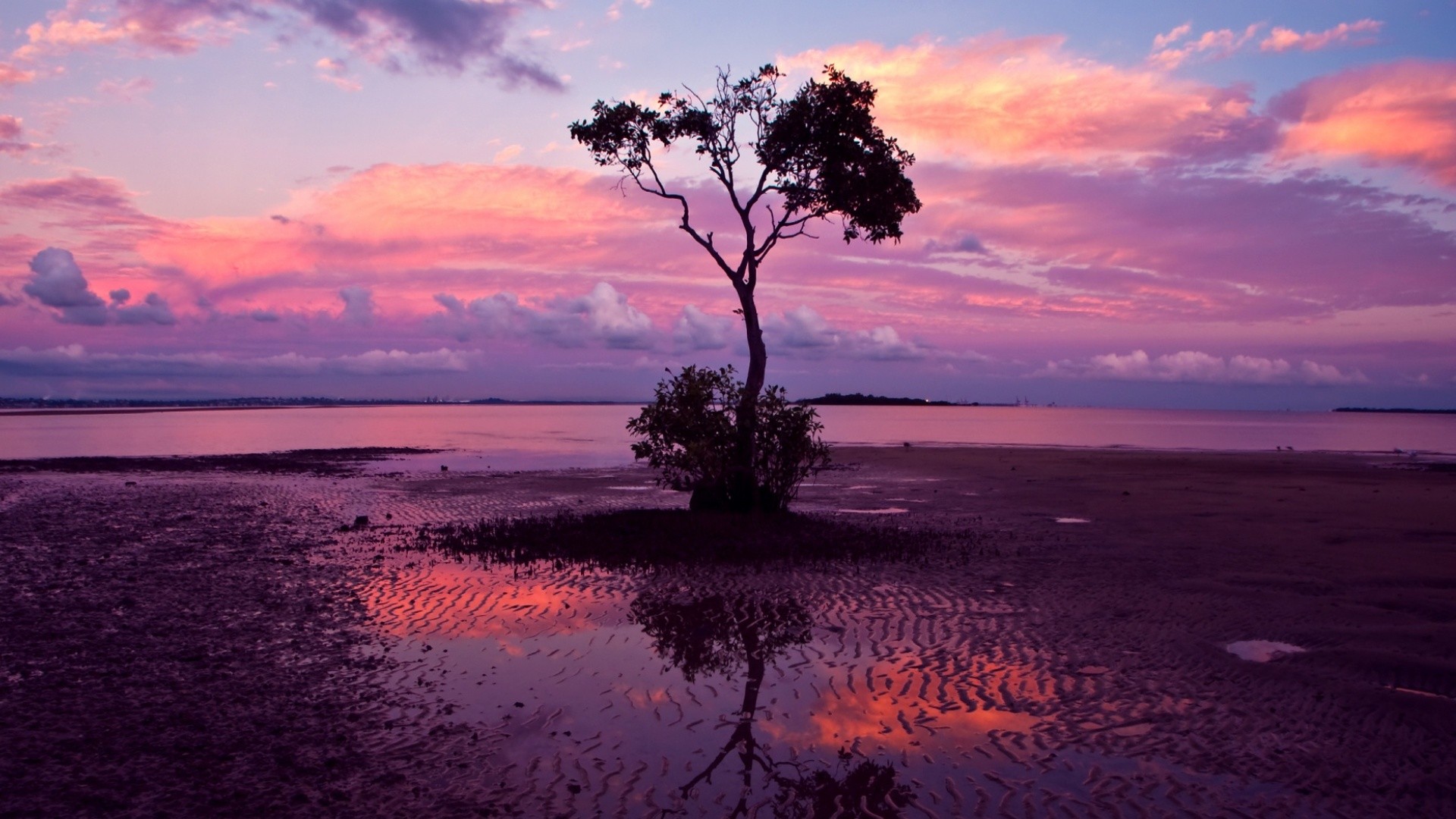 Baixe gratuitamente a imagem Árvore, Terra/natureza na área de trabalho do seu PC