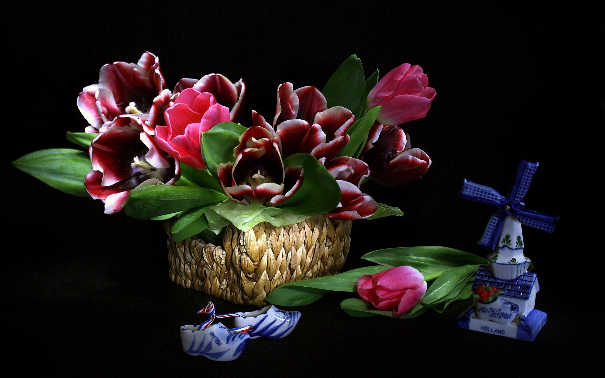 Завантажити шпалери безкоштовно Натюрморт, Квітка, Кошик, Тюльпан, Фотографія, Фіолетова Квітка картинка на робочий стіл ПК