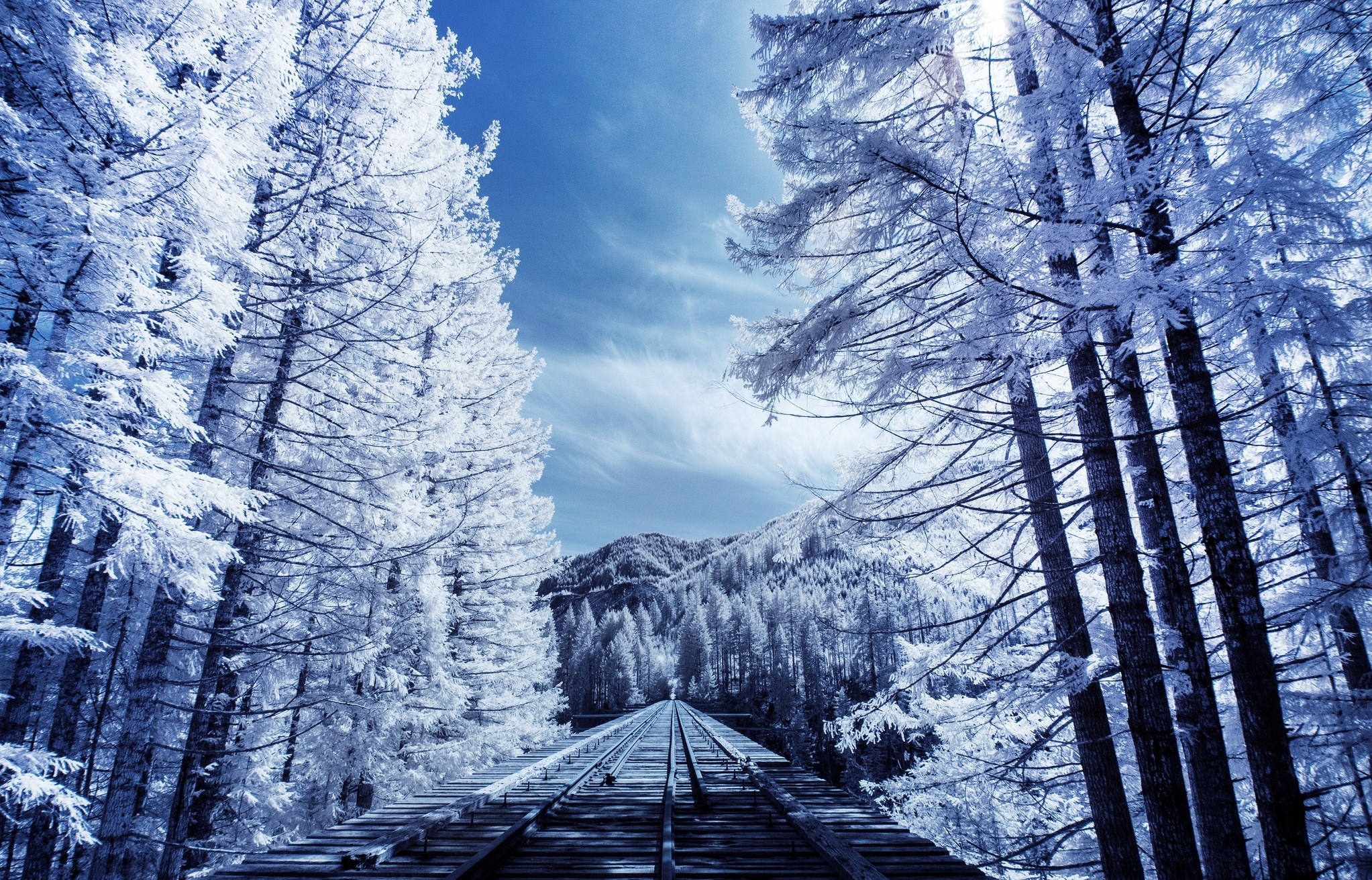 Laden Sie das Winter, Schnee, Baum, Eisenbahn, Menschengemacht-Bild kostenlos auf Ihren PC-Desktop herunter