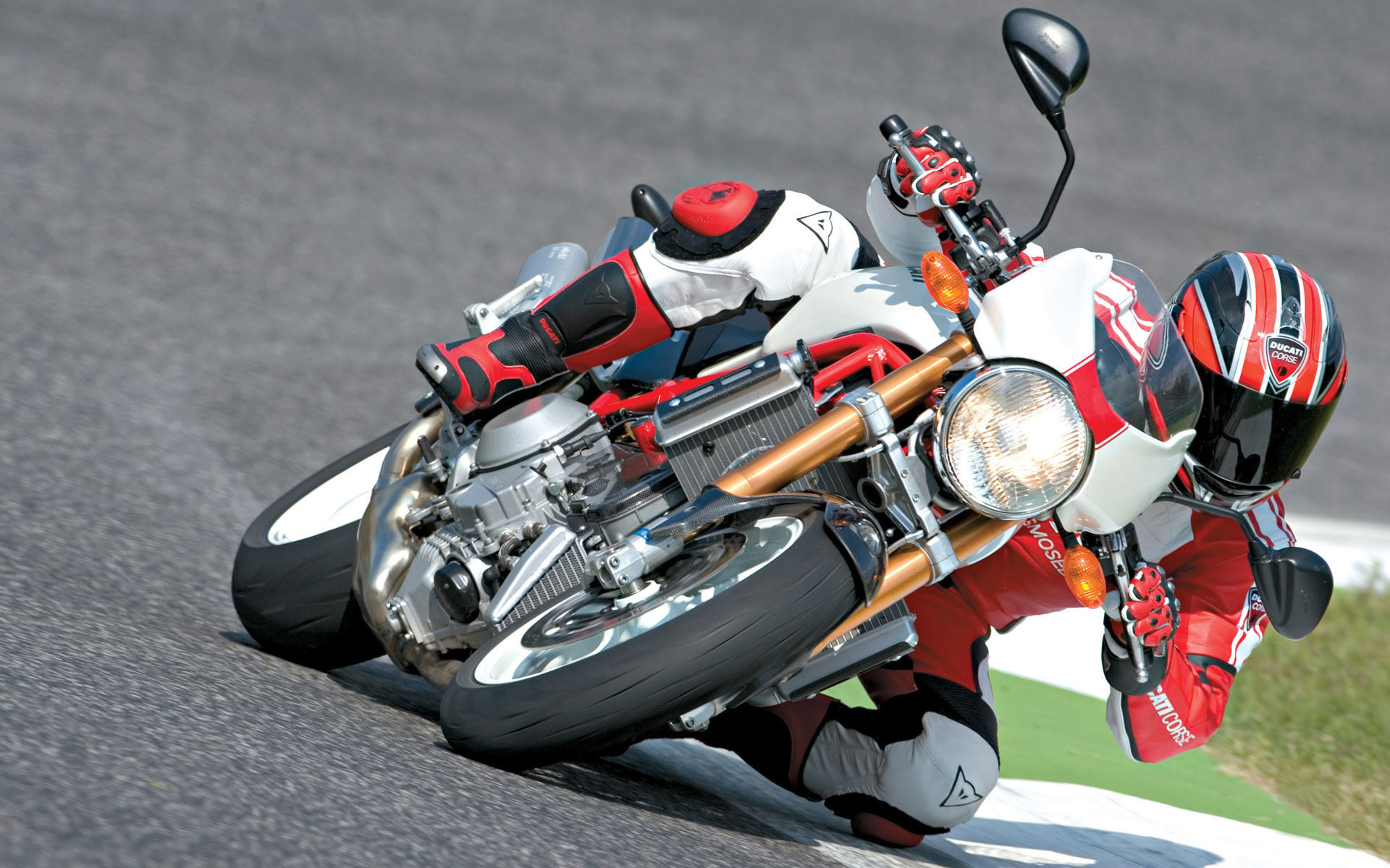 260671 Salvapantallas y fondos de pantalla Ducati en tu teléfono. Descarga imágenes de  gratis