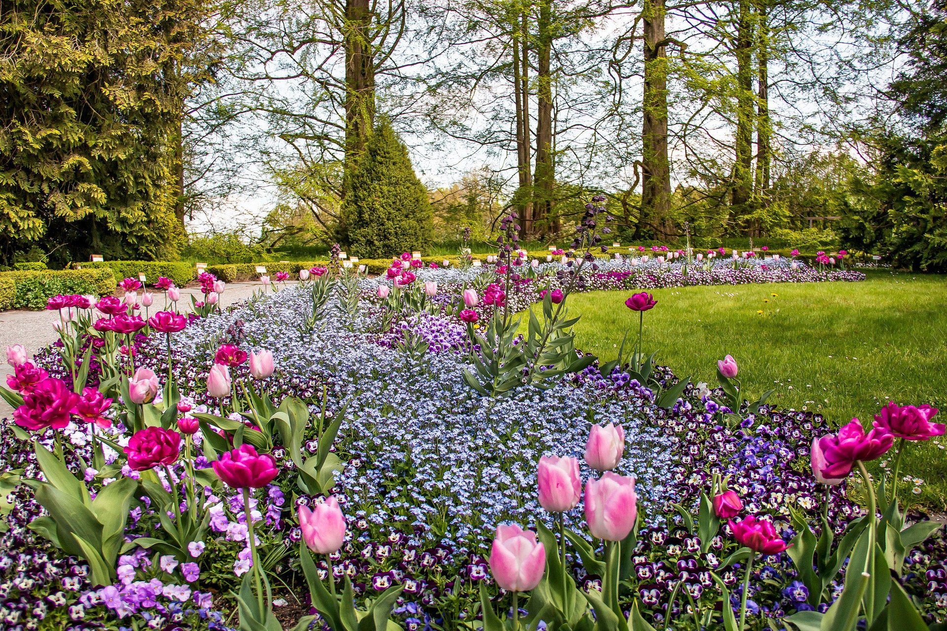 Laden Sie das Park, Fotografie-Bild kostenlos auf Ihren PC-Desktop herunter