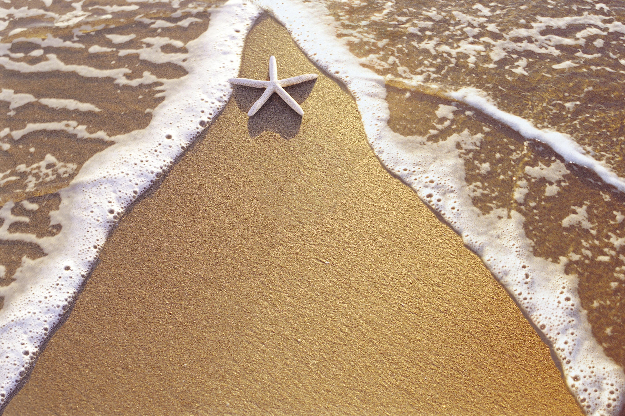 58551 скачать обои песок, треугольник, морская звезда, природа, море, пена - заставки и картинки бесплатно