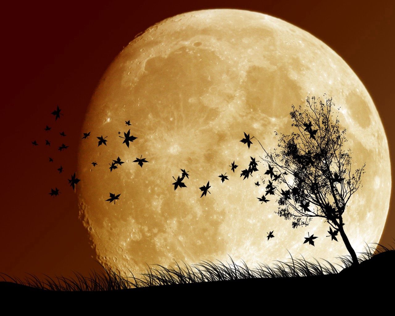 Download mobile wallpaper Full Moon, Sky, Shadow, Planet, Birds, Vector for free.