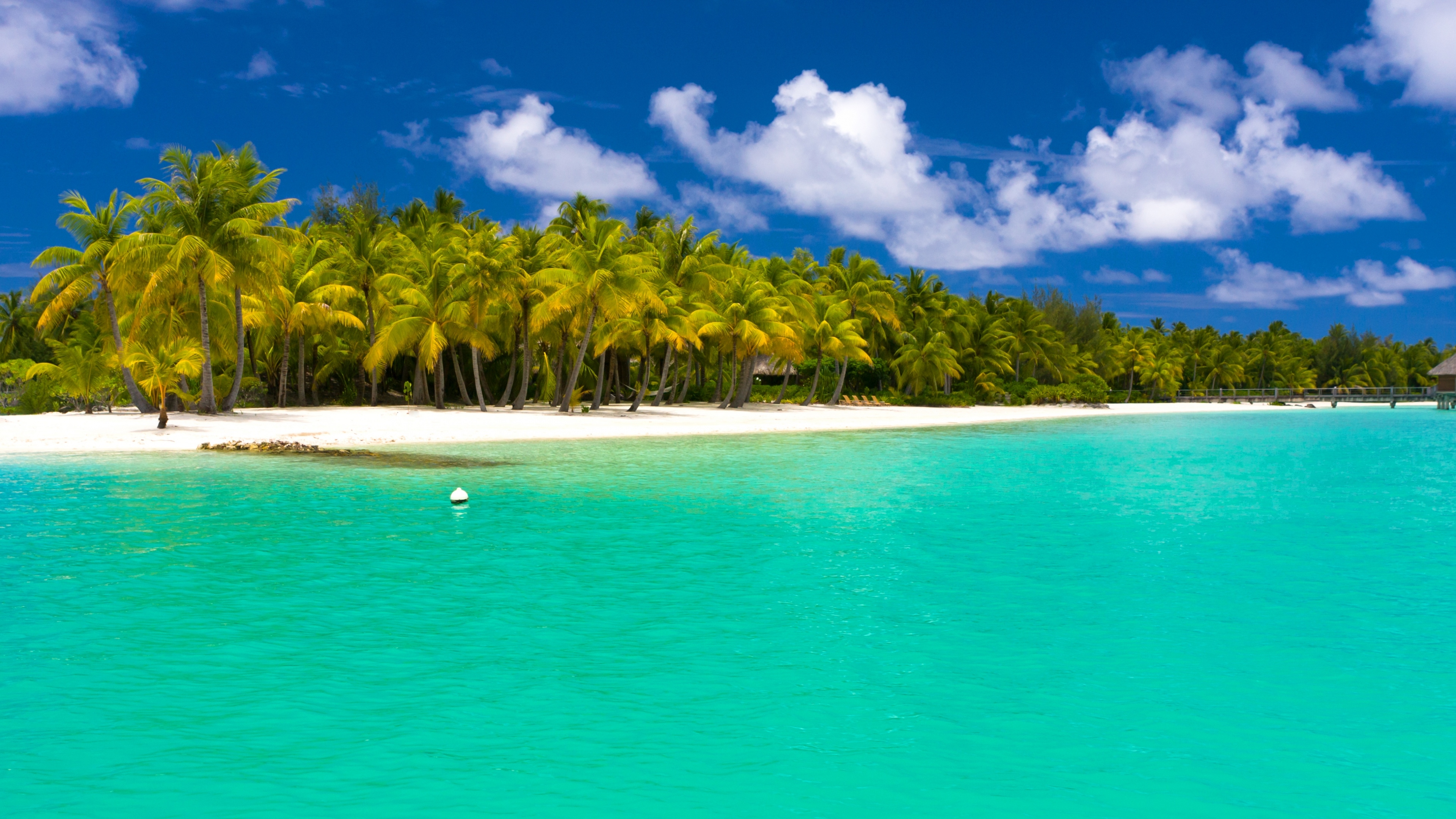 Скачати мобільні шпалери Море, Океан, Пальма, Земля, Острів, Тропічний безкоштовно.