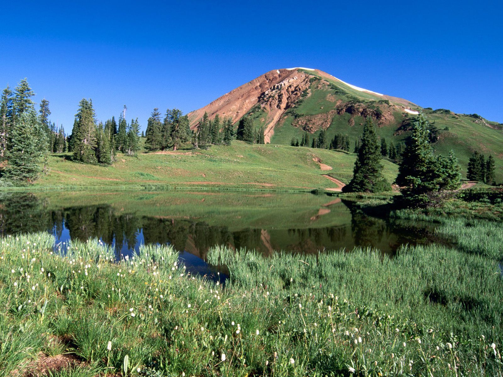 Скачать картинку Колорадо, Зелень, Деревья, Альпы, Озеро, Горы, Трава, Природа в телефон бесплатно.