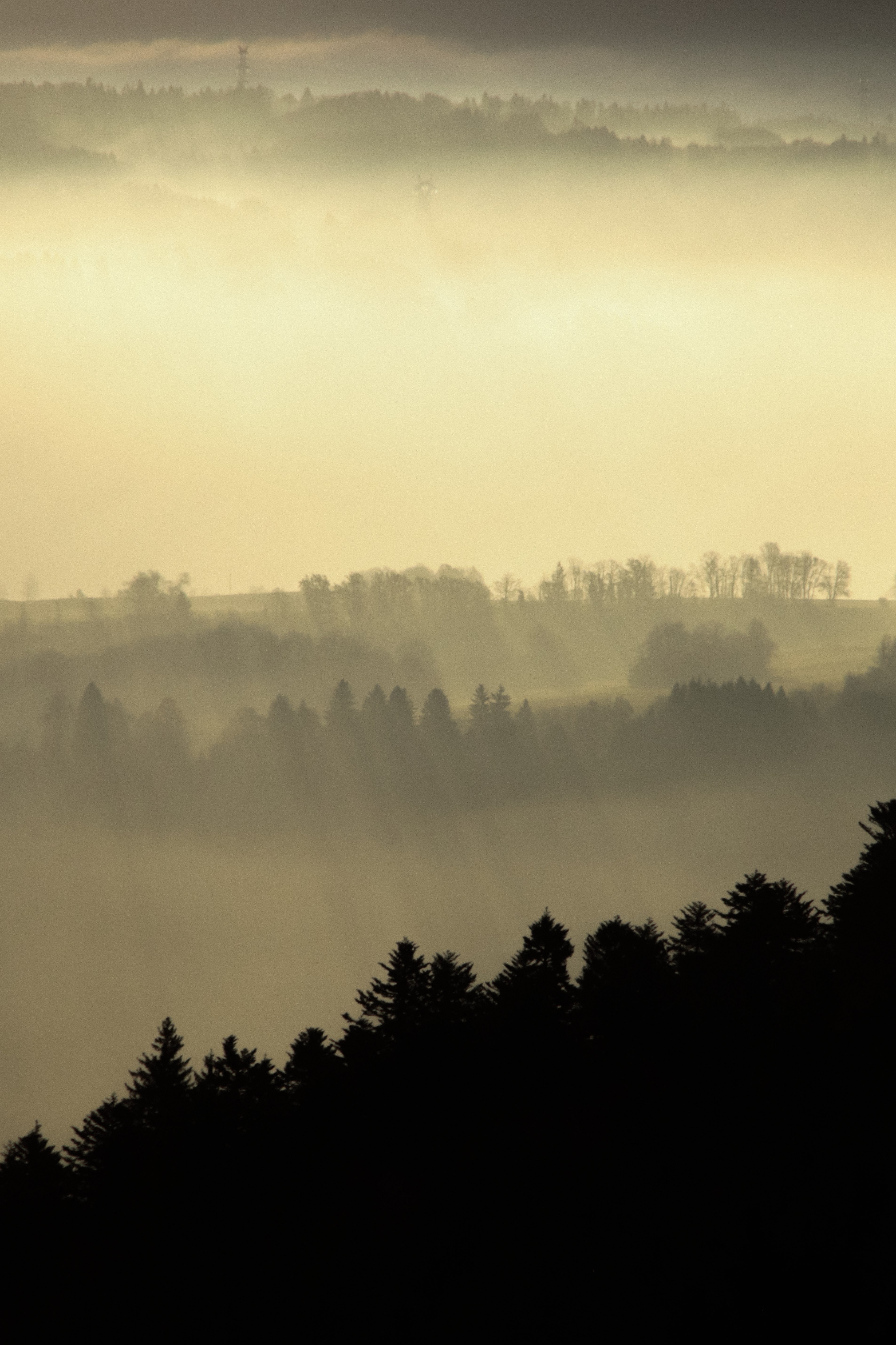 Handy-Wallpaper Natur, Nebel, Dämmerung, Twilight, Die Hügel, Hügel, Bäume kostenlos herunterladen.