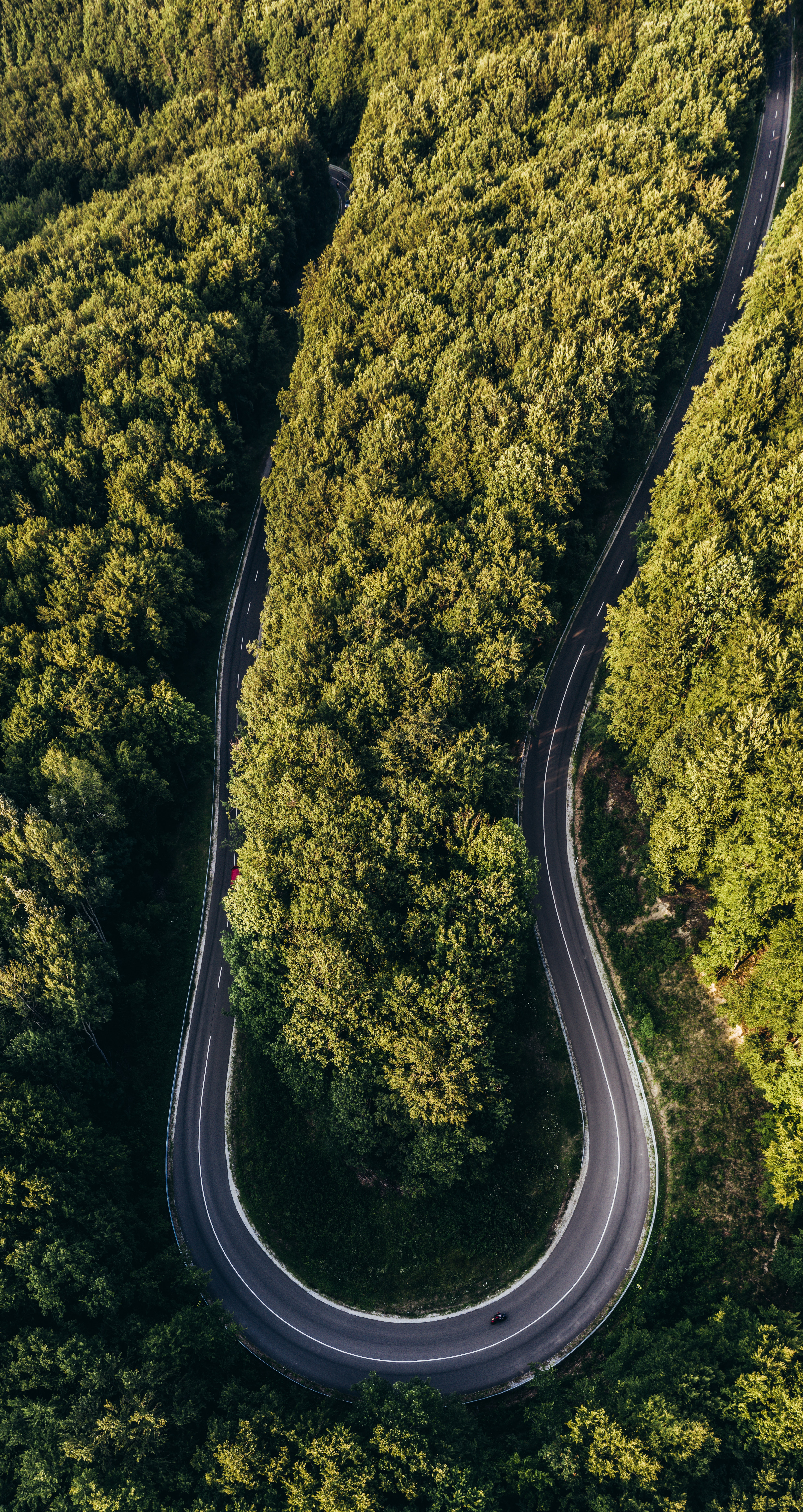 nature, view from above, road, turn, forest, winding, sinuous