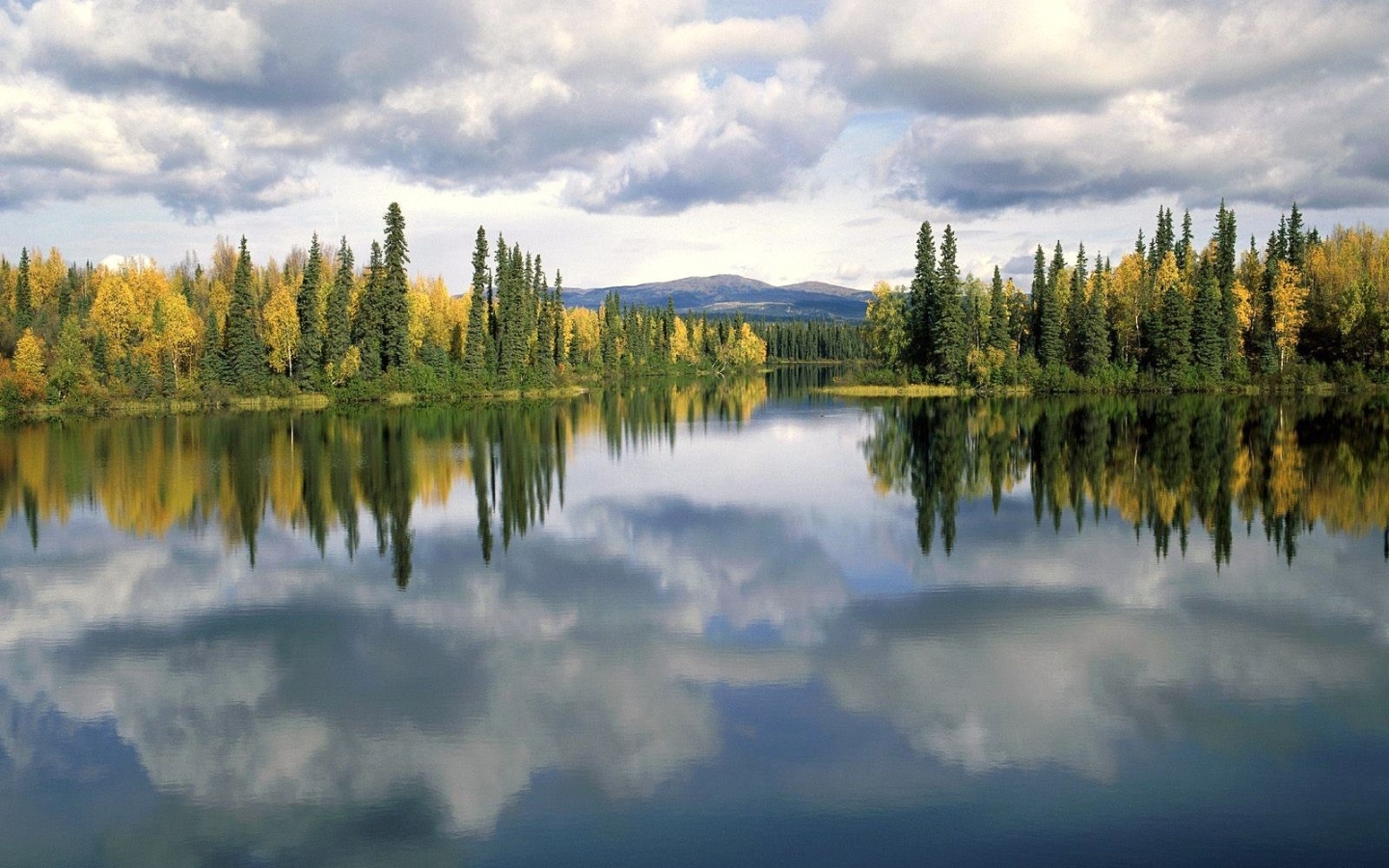 無料モバイル壁紙川, 木, 雲, スカイ, 風景をダウンロードします。