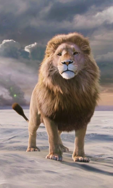 Meilleurs fonds d'écran Les Chroniques De Narnia : Le Lion La Sorcière Et L'armoire pour l'écran du téléphone