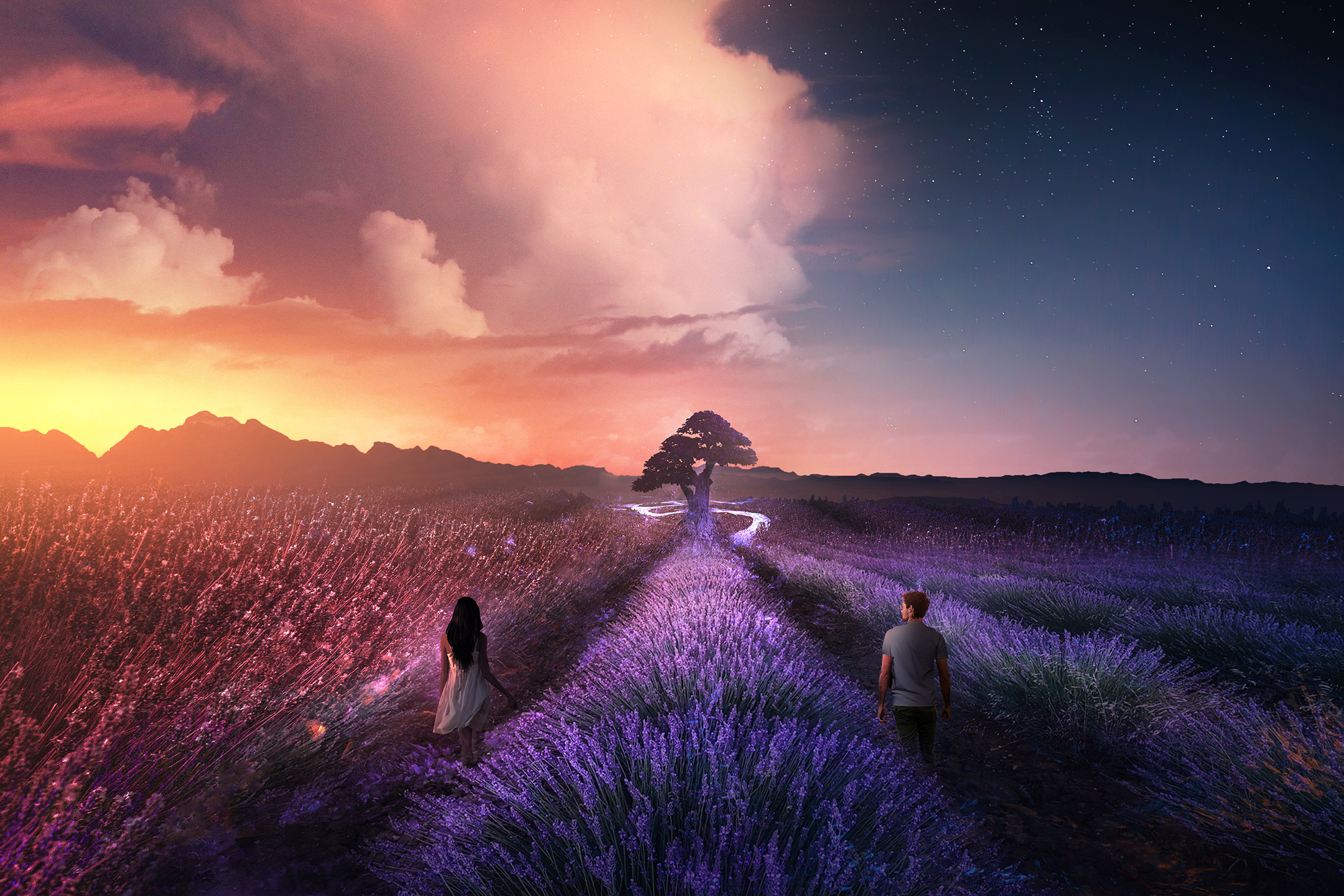 Free download wallpaper Fantasy, Night, Love, Couple, Field, Lavender on your PC desktop