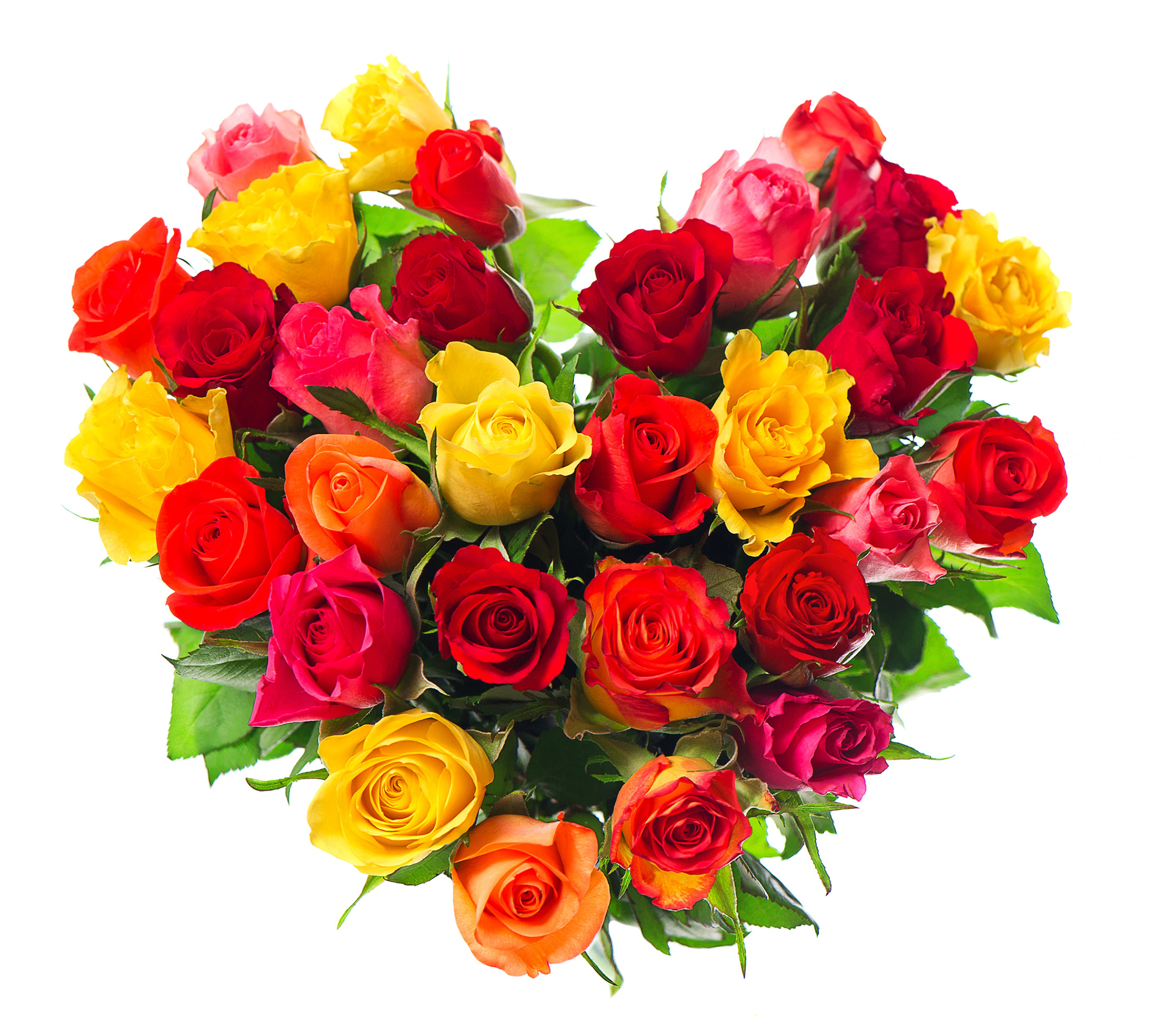 Download mobile wallpaper Valentine's Day, Rose, Holiday, Colorful, Heart, Red Rose, Yellow Rose, Pink Rose for free.