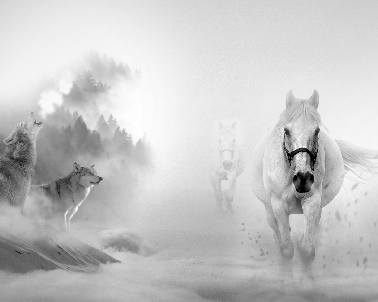 Laden Sie das Tiere, Winter, Fantasie, Schnee, Wolf, Pferd, Hauspferd, Fantasietiere-Bild kostenlos auf Ihren PC-Desktop herunter