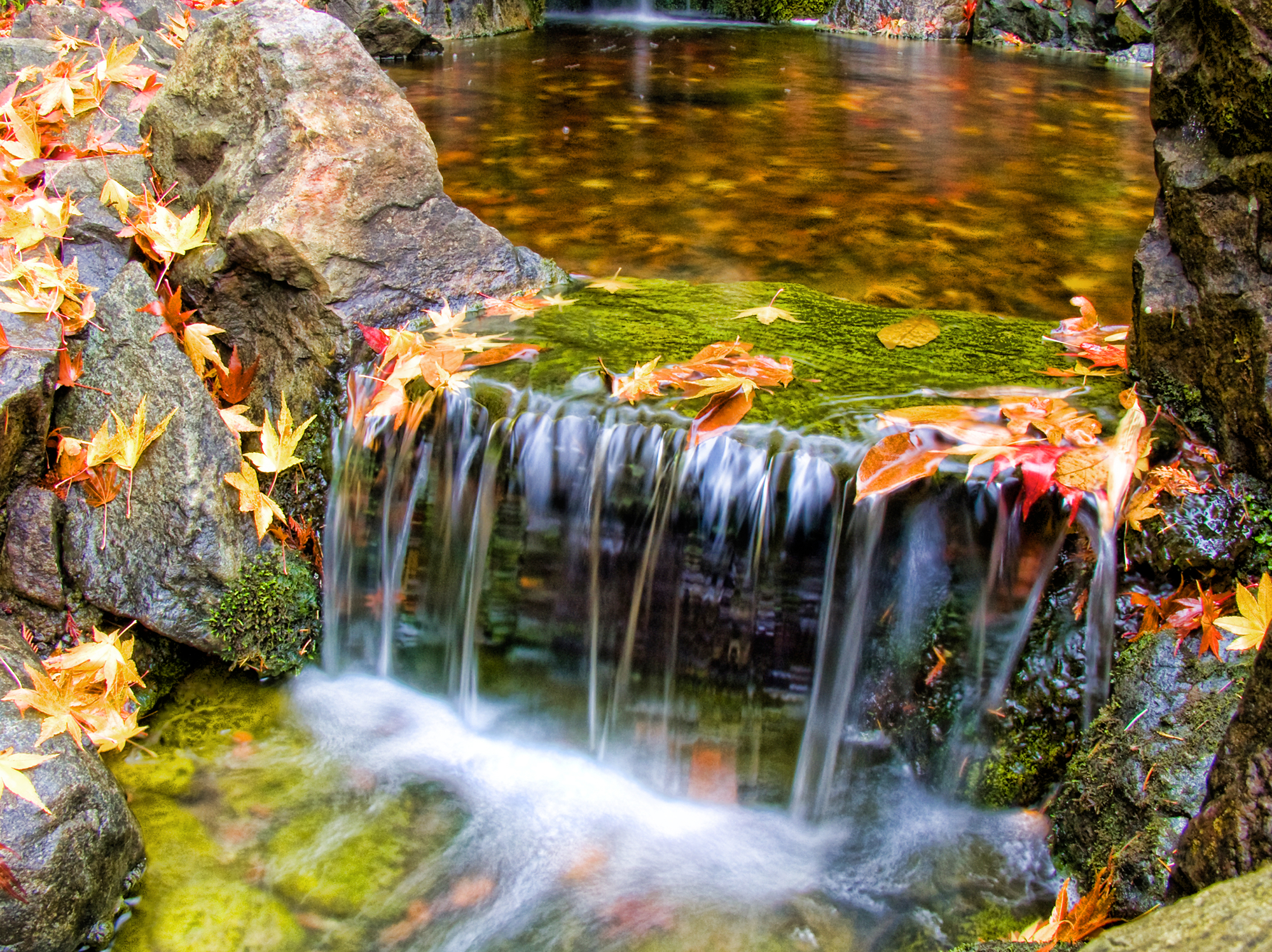Baixe gratuitamente a imagem Natureza, Água, Outono, Cascata, Folha, Fluxo, Musgo, Terra/natureza na área de trabalho do seu PC