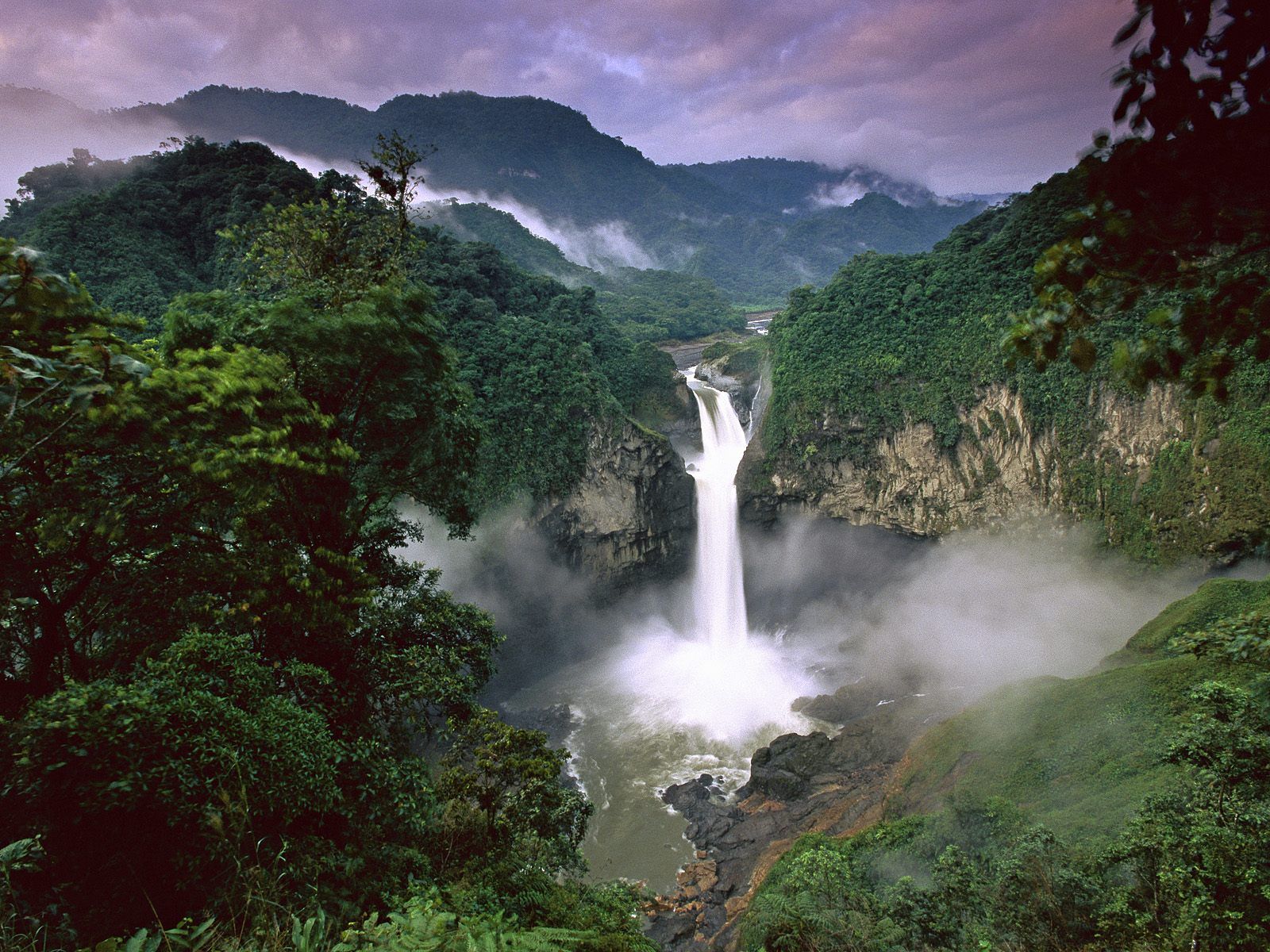 408984 завантажити шпалери земля, водоспад, еквадор, ліс, зелений, дерево, національний парк ясуні, водоспади - заставки і картинки безкоштовно