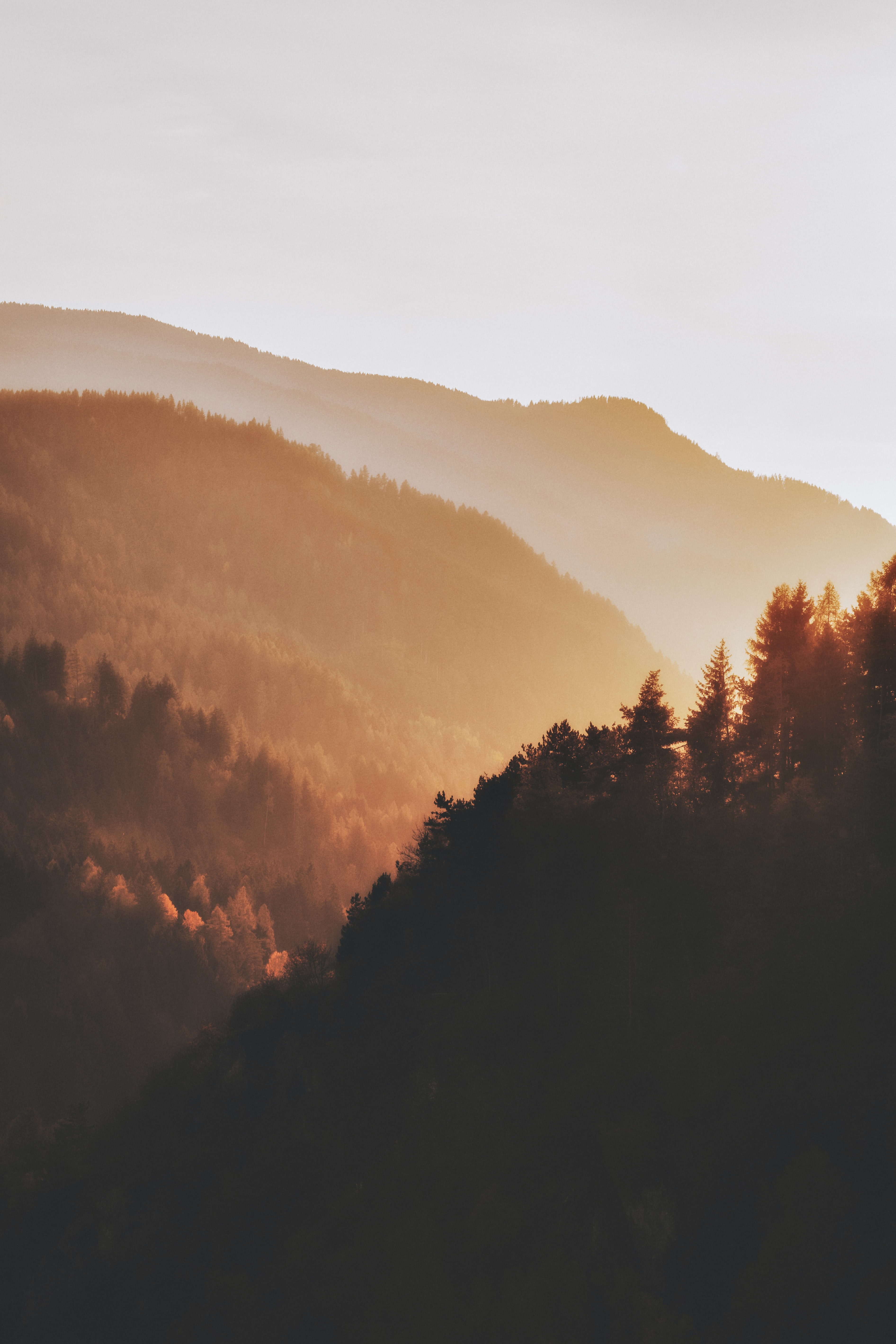 sunset, hills, nature, trees, forest lock screen backgrounds