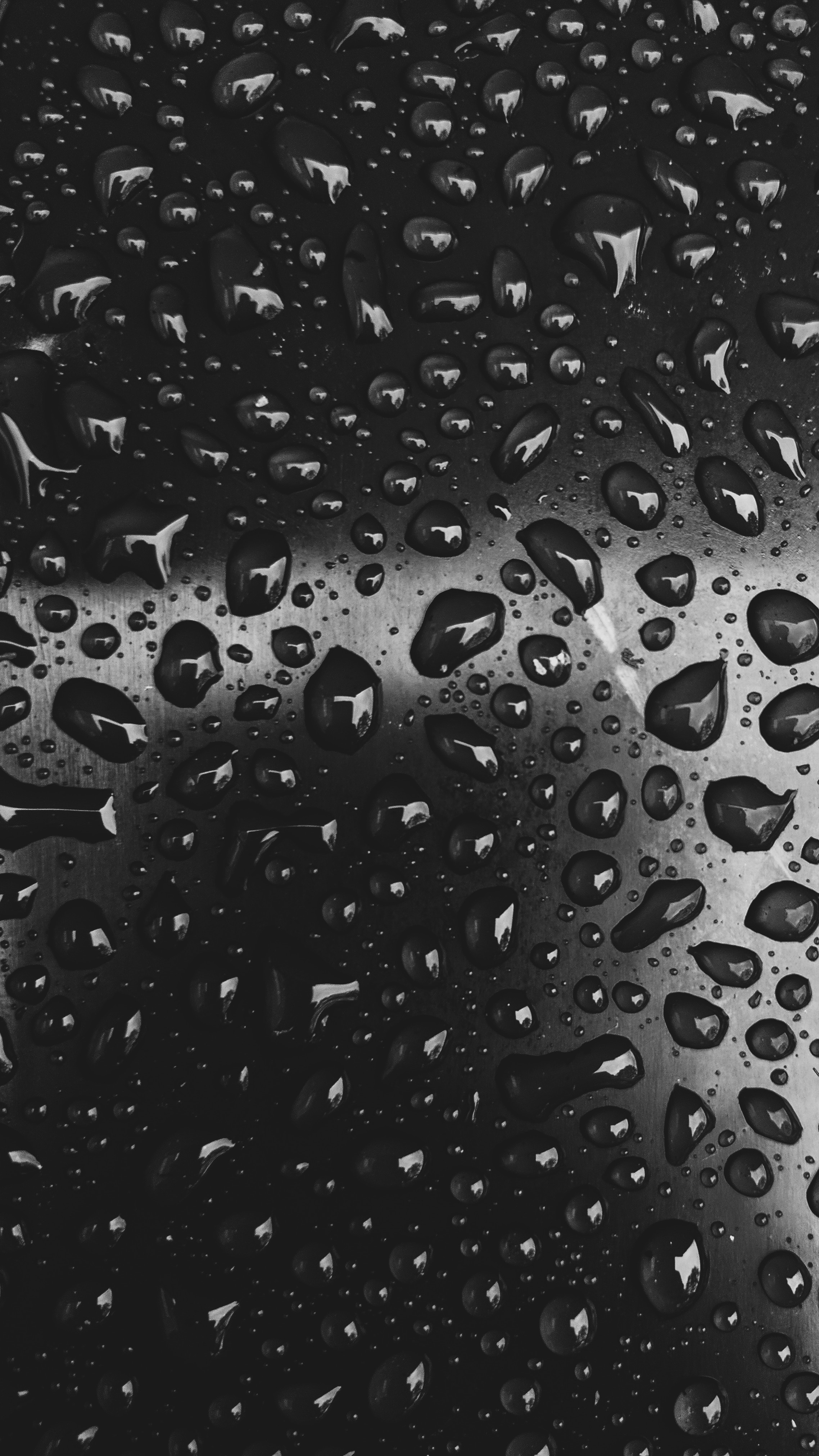 Download mobile wallpaper Close Up, Chb, Bw, Drops for free.