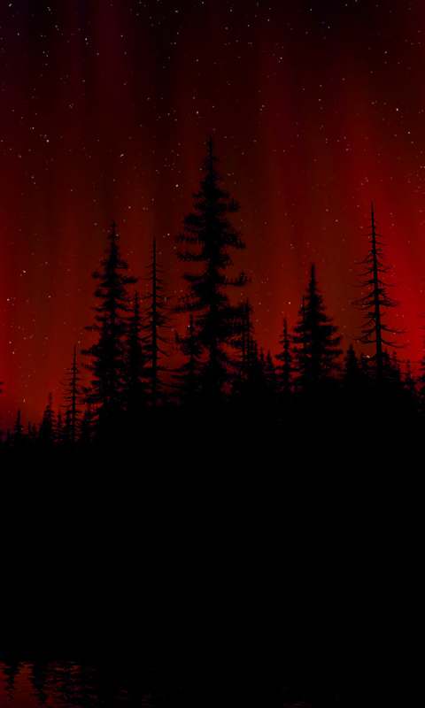 Download mobile wallpaper Dark, Light, Forest for free.