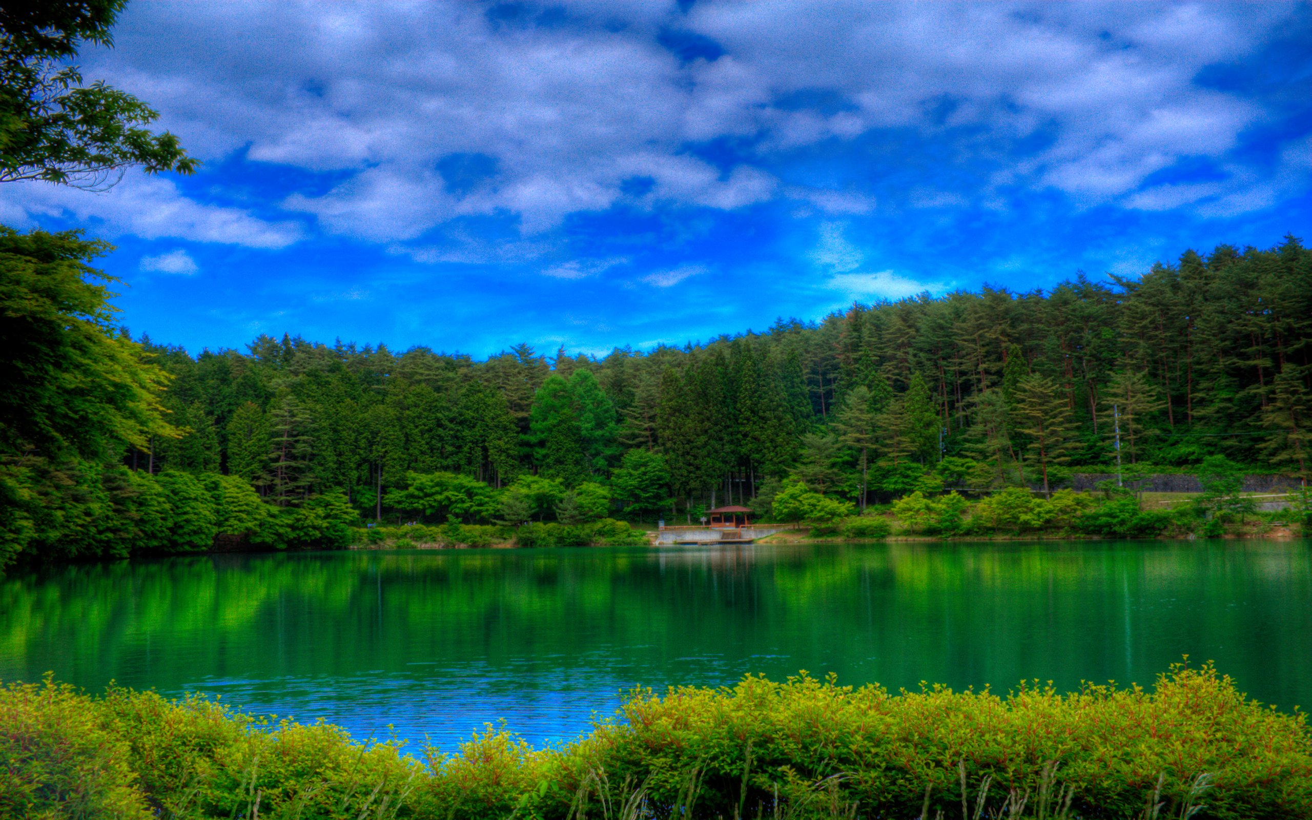 Скачать картинку Озера, Озеро, Лес, Дерево, Зеленый, Земля/природа в телефон бесплатно.