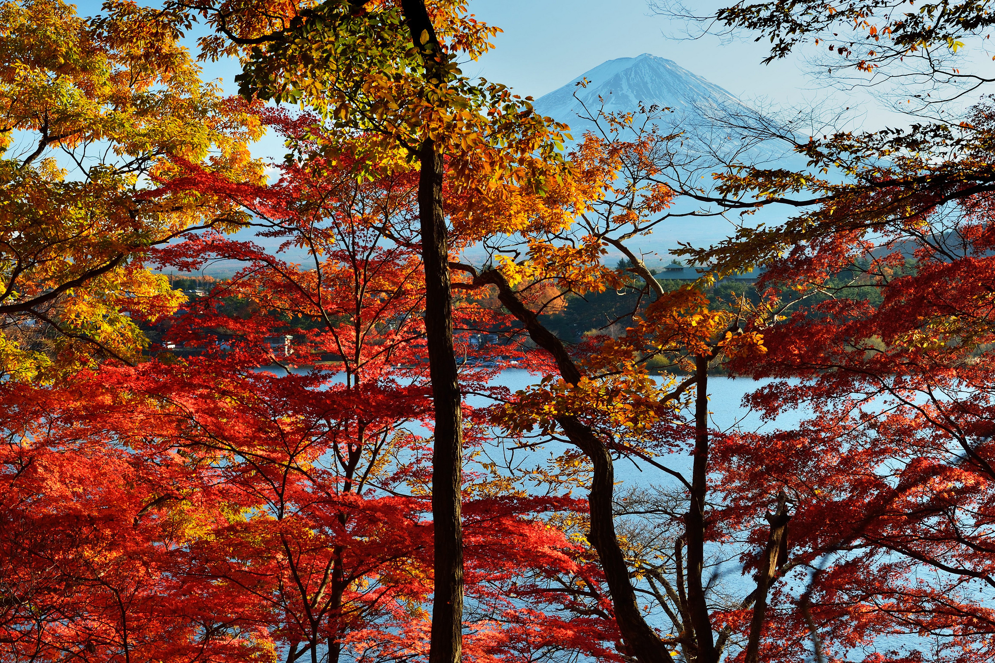 Baixe gratuitamente a imagem Paisagem, Outono, Montanha, Lago, Árvore, Folha, Fotografia na área de trabalho do seu PC