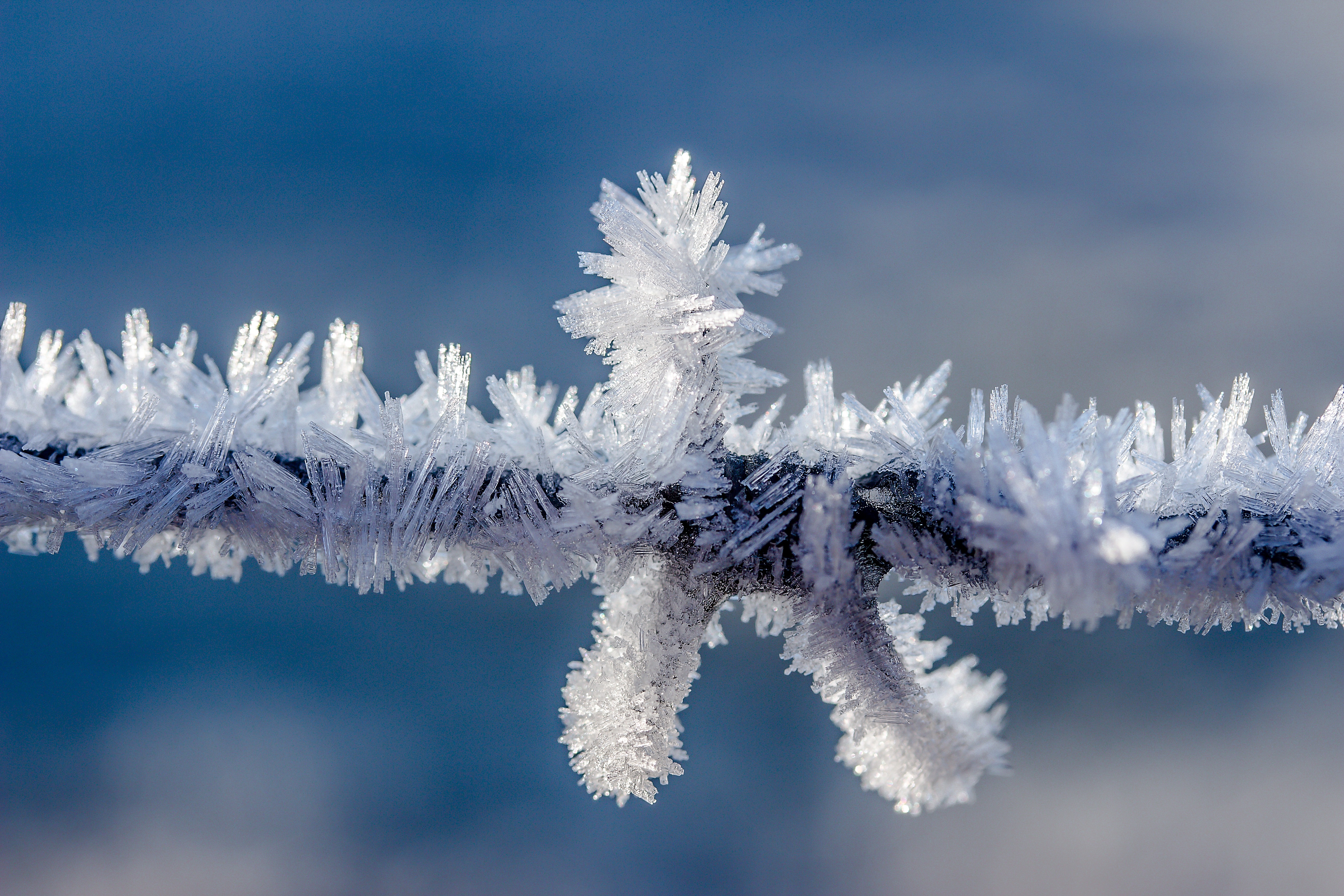 Laden Sie das Rauhreif, Makro, Zweig, Ast, Frost, Winter-Bild kostenlos auf Ihren PC-Desktop herunter
