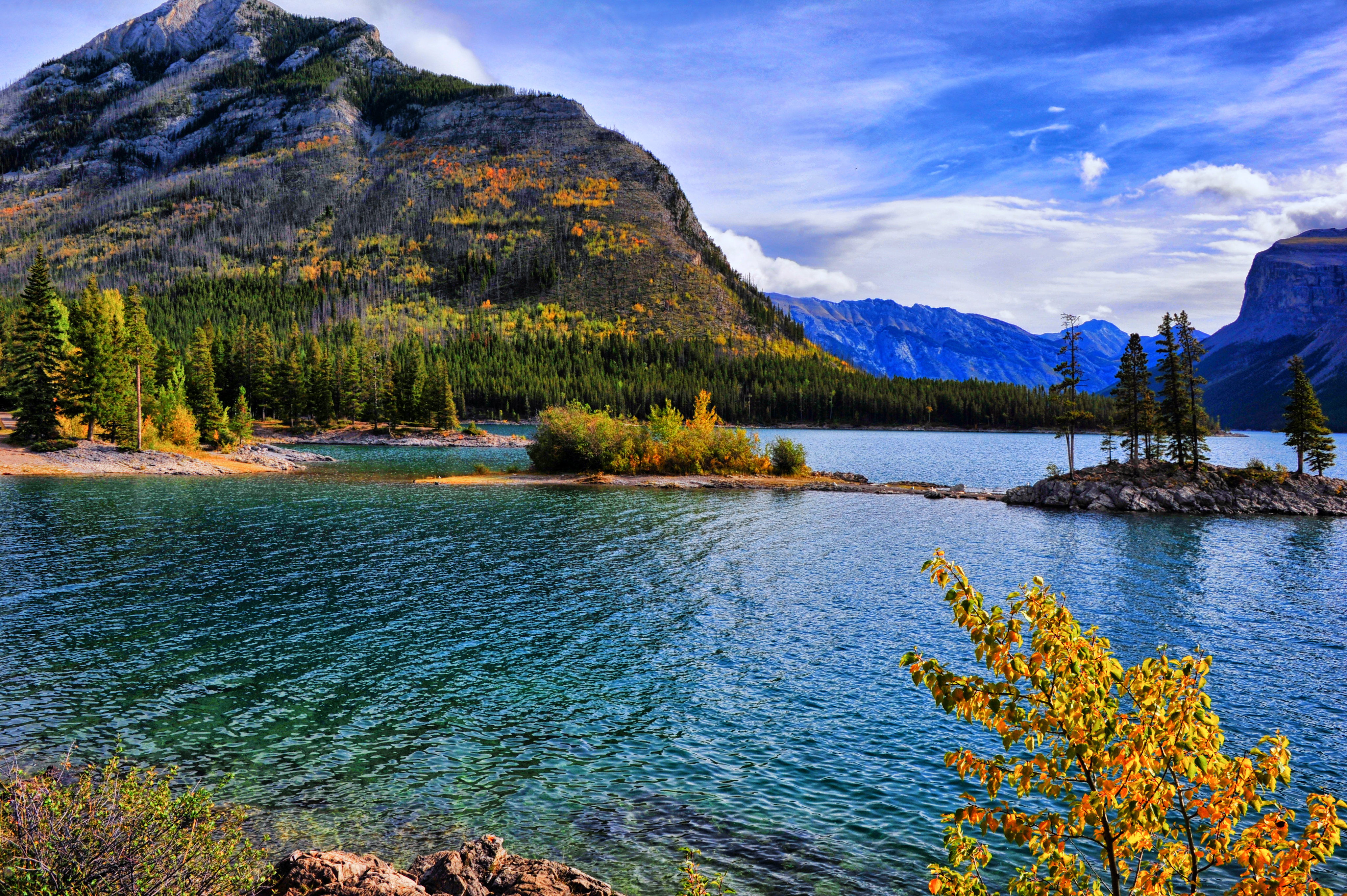 Скачать картинку Склон, Лес, Природа, Деревья, Озеро, Осень в телефон бесплатно.