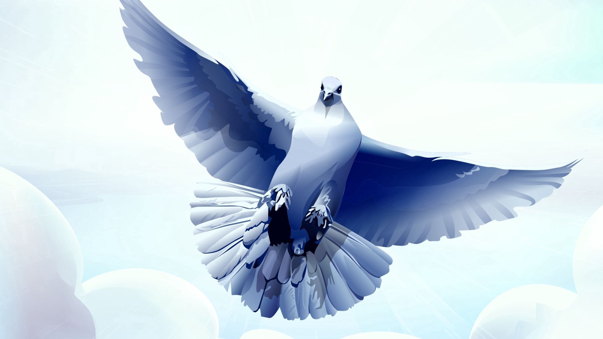 Download mobile wallpaper Flight, Wave, Bird, Sweep, Dove, Feather, Vector for free.