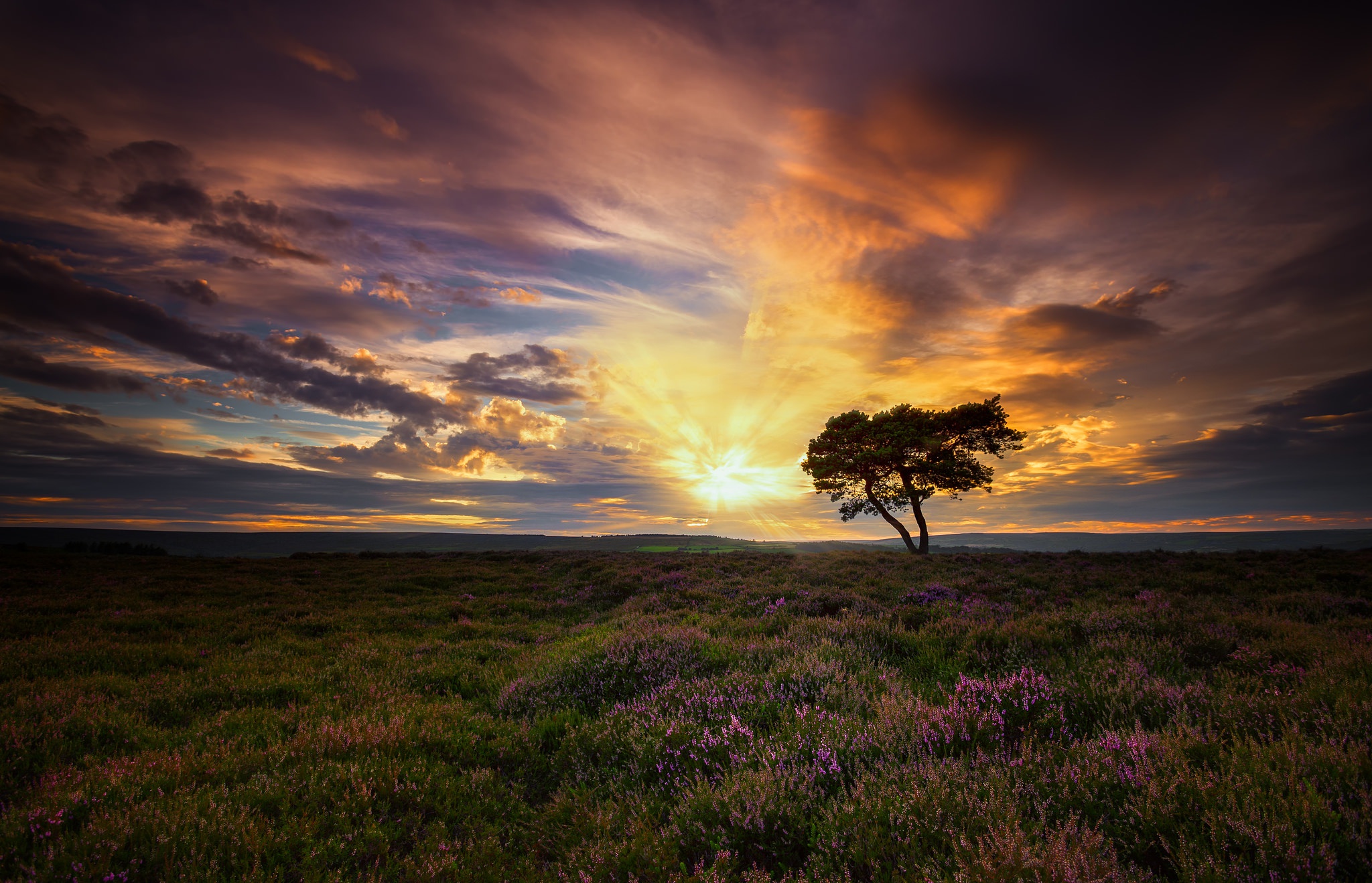 Handy-Wallpaper Landschaft, Natur, Horizont, Baum, Wolke, Erde/natur kostenlos herunterladen.