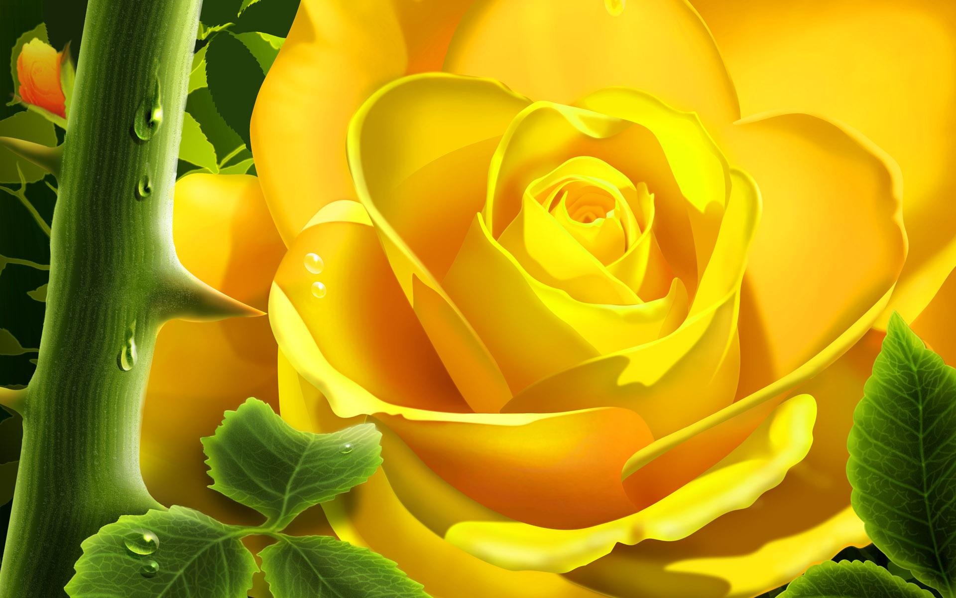 162533 скачать обои роза, природа, флауэрсы, цветок, жёлтый, художественные - заставки и картинки бесплатно