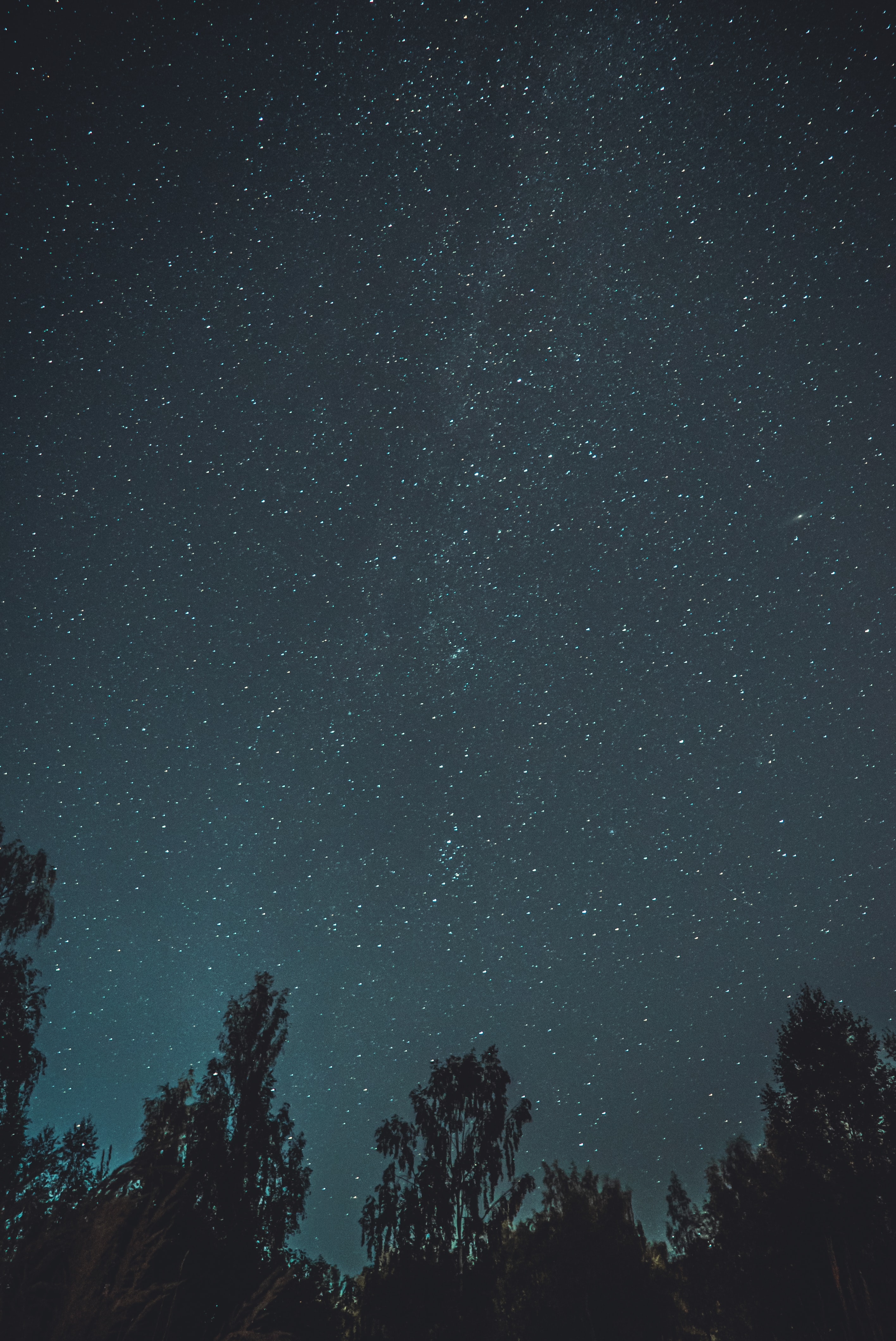 Téléchargez des papiers peints mobile Ciel Étoilé, Arbres, Nuit, Sombre gratuitement.