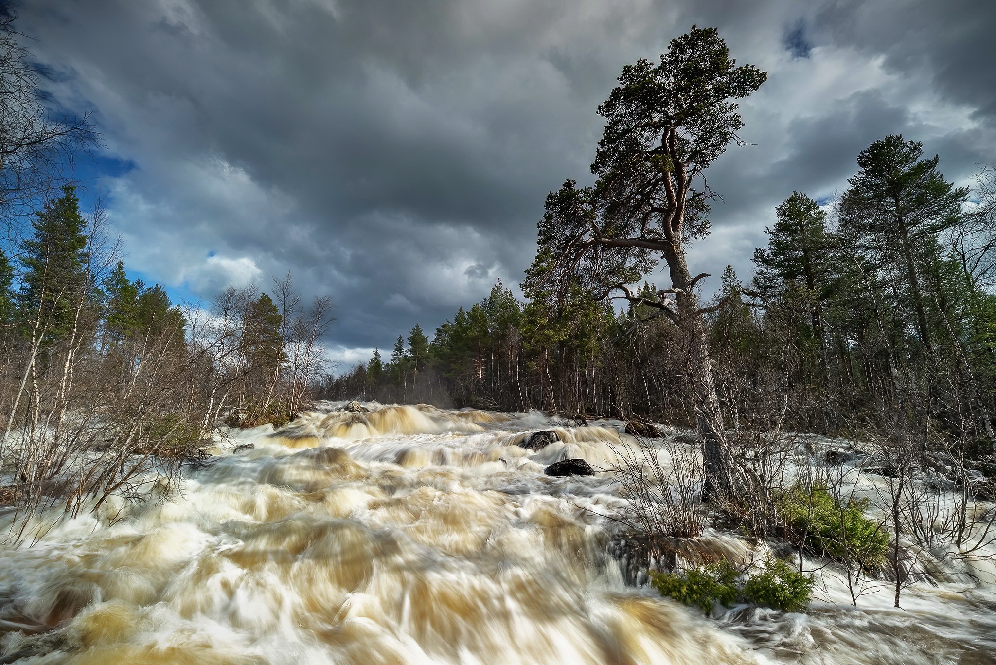 Скачать картинку Река, Лес, Ручей, Земля/природа в телефон бесплатно.