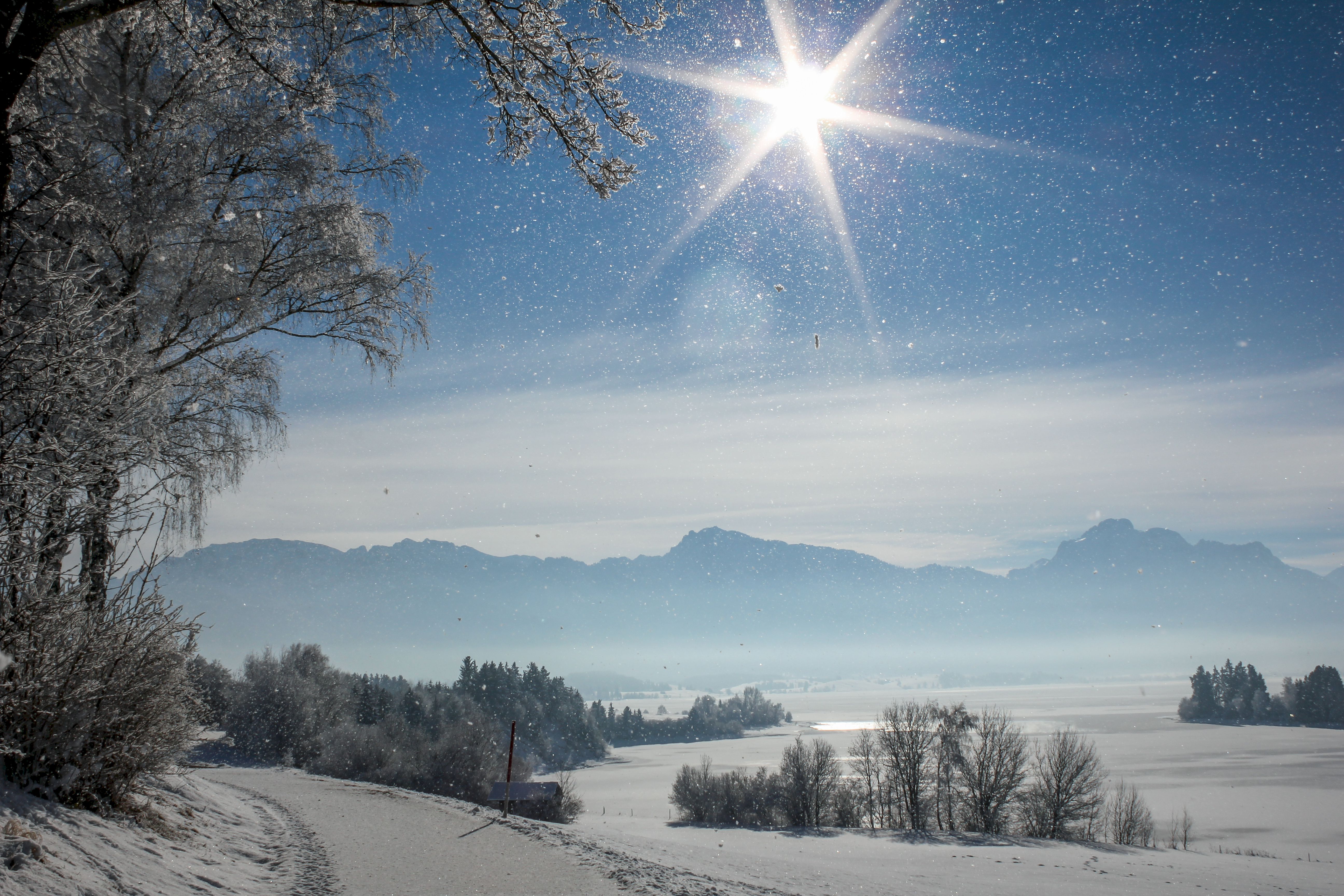 Download mobile wallpaper Snowfall, Sunlight, Nature, Snow, Winter, Shine, Brilliance for free.