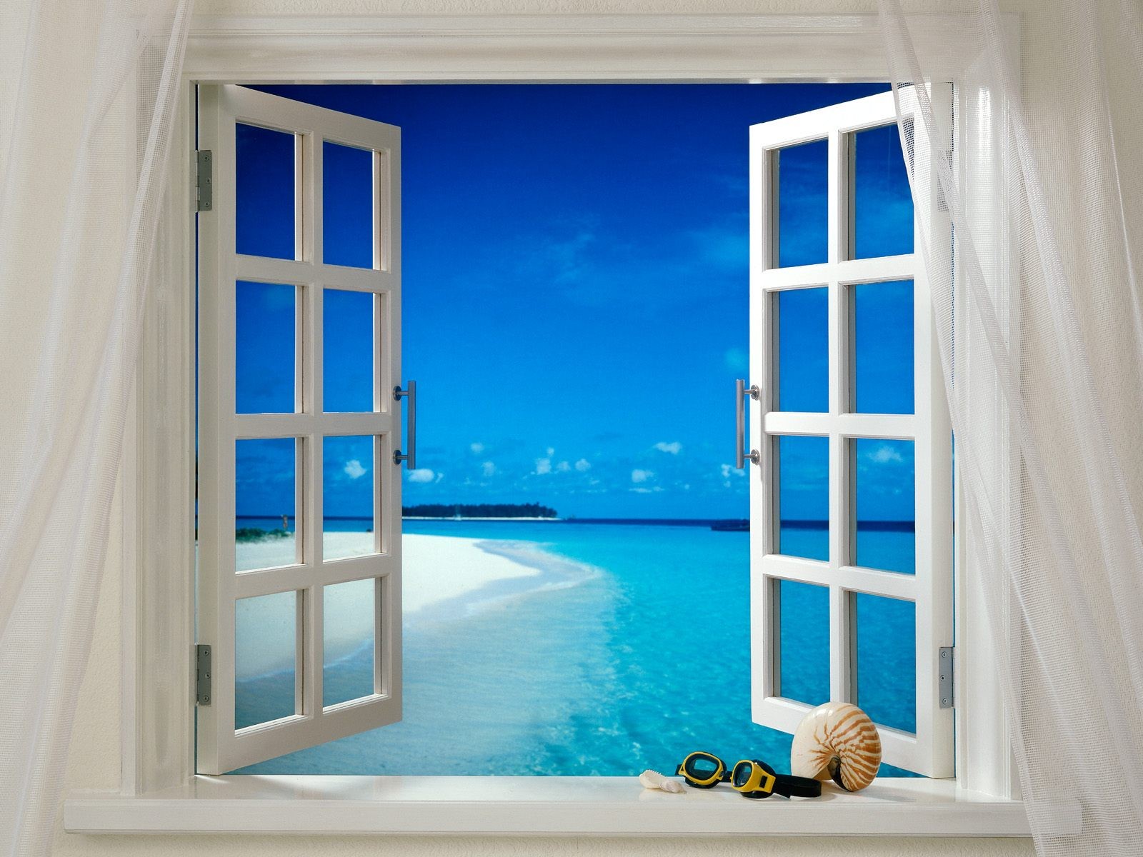 168316 завантажити картинку вікно, земля, океан, пляжний, окуляри захисні, оболонка - шпалери і заставки безкоштовно
