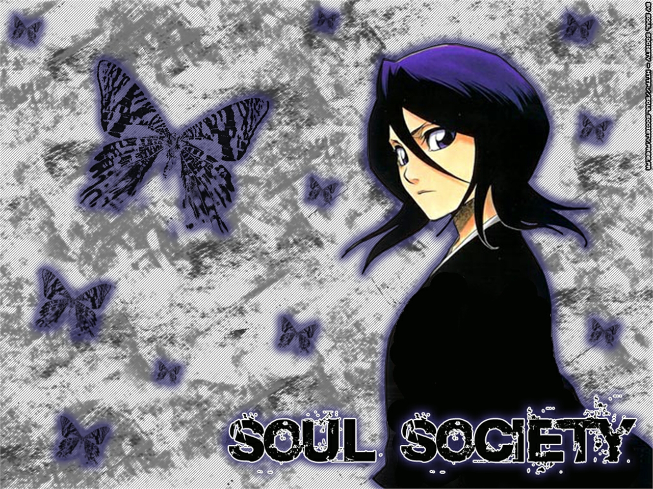 Free download wallpaper Rukia Kuchiki, Bleach, Anime on your PC desktop