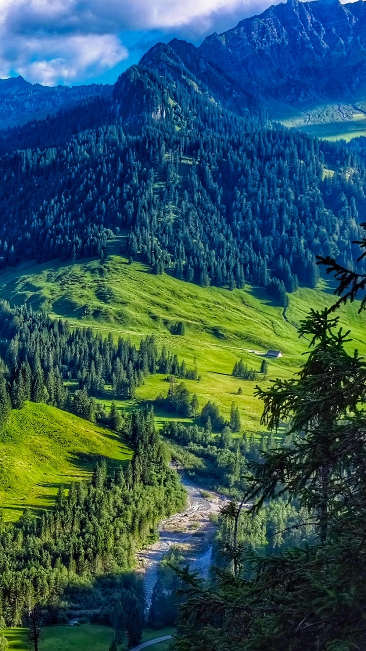 Скачать картинку Пейзаж, Гора, Лес, Австрия, Земля, Зеленый, Земля/природа в телефон бесплатно.