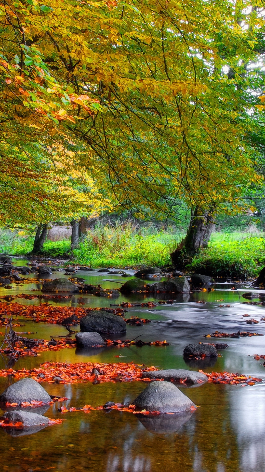 Download mobile wallpaper Forest, Tree, Fall, Earth, Stream for free.