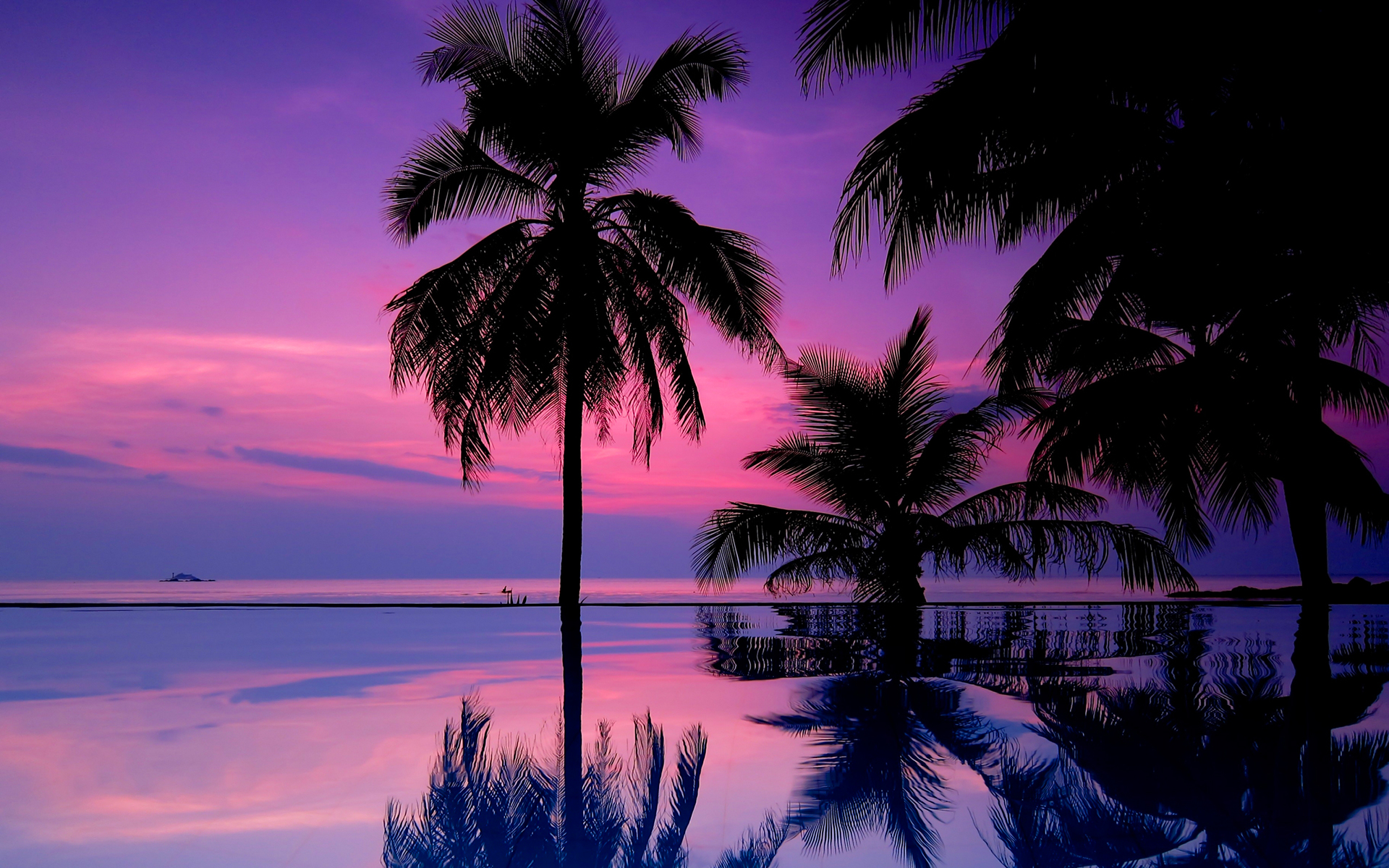 Download mobile wallpaper Reflection, Ocean, Earth, Palm Tree for free.
