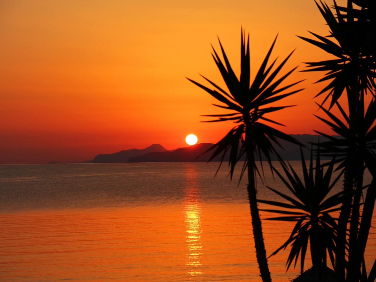 Descarga gratis la imagen Tierra/naturaleza, Atardecer en el escritorio de tu PC