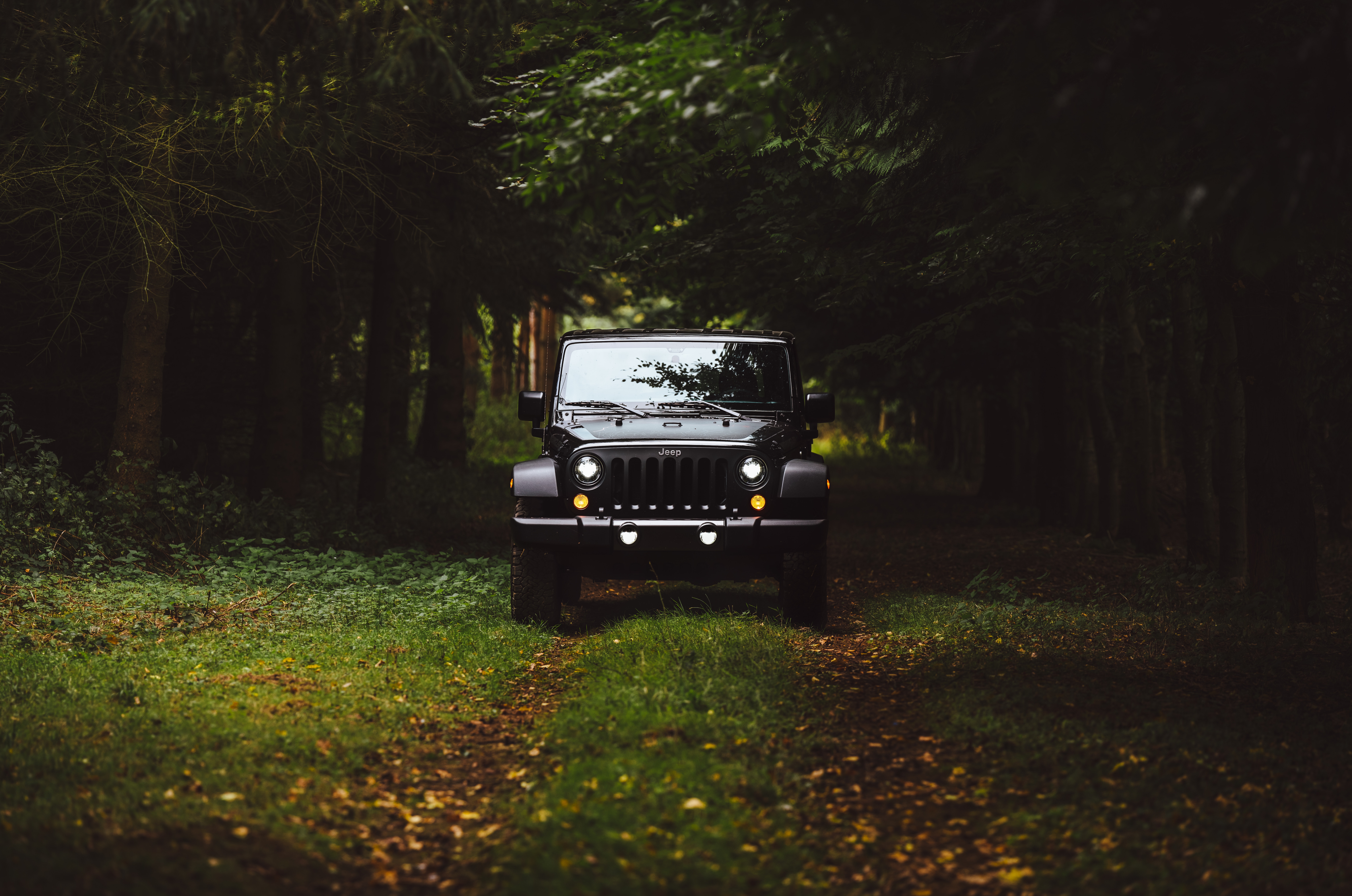 cars, suv, front view, grass, car Aesthetic wallpaper