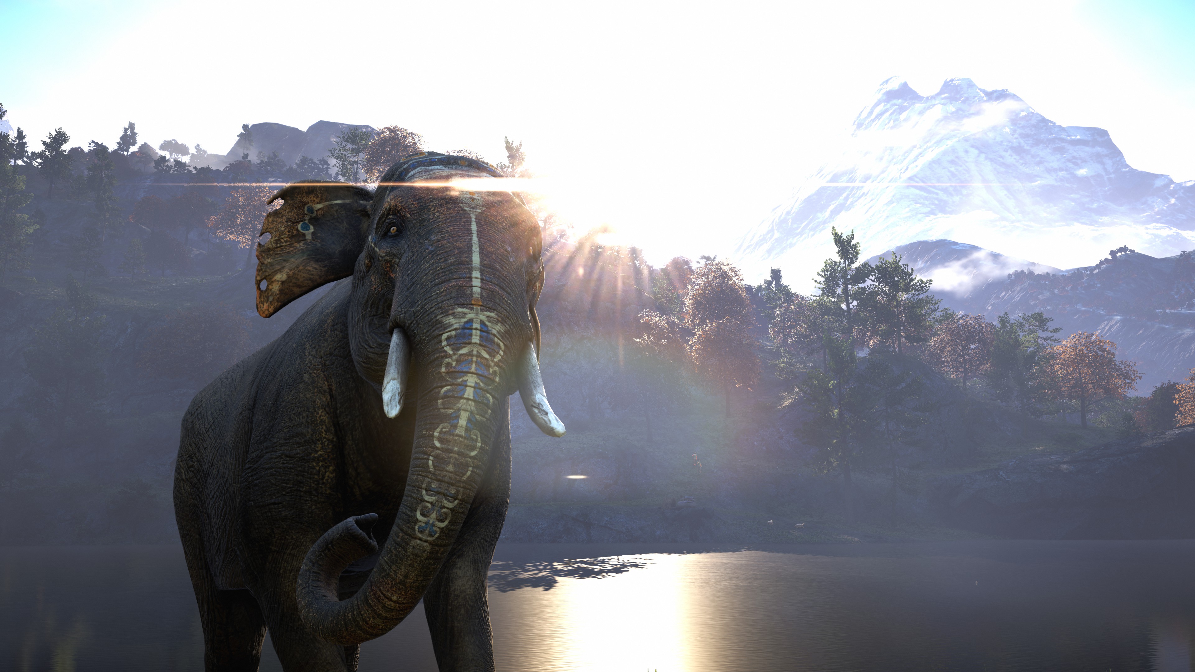 Descarga gratuita de fondo de pantalla para móvil de Elefante, Videojuego, Far Cry, Far Cry 4.