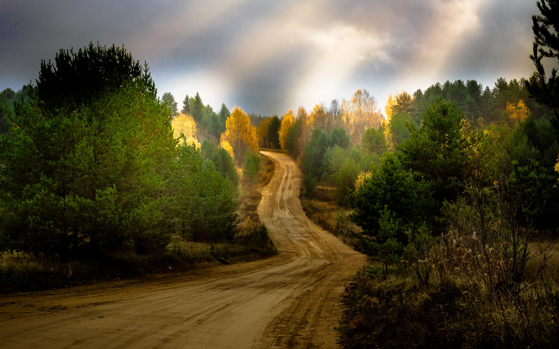 Free download wallpaper Road, Tree, Country, Man Made, Dirt Road on your PC desktop