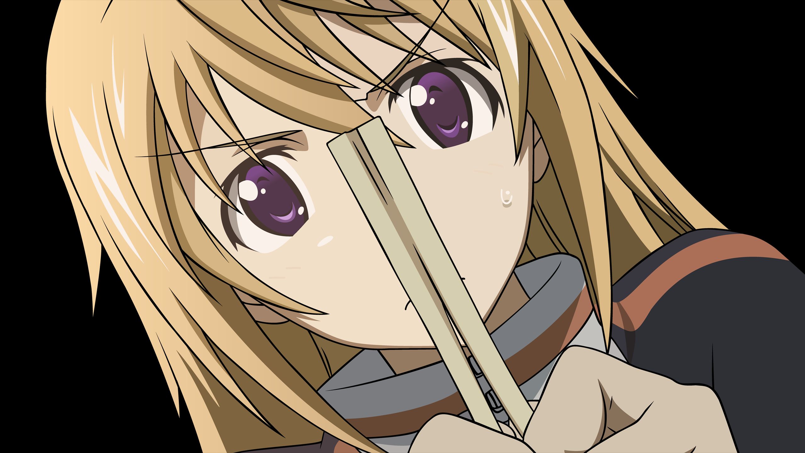 Laden Sie das Animes, Infinite Stratos-Bild kostenlos auf Ihren PC-Desktop herunter