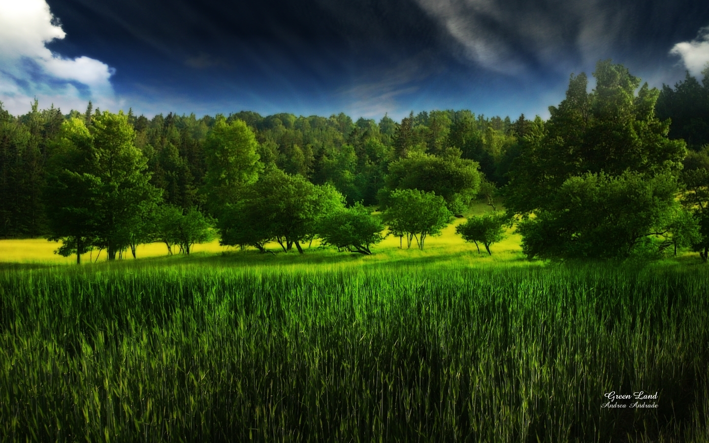Download mobile wallpaper Grass, Landscape, Trees for free.