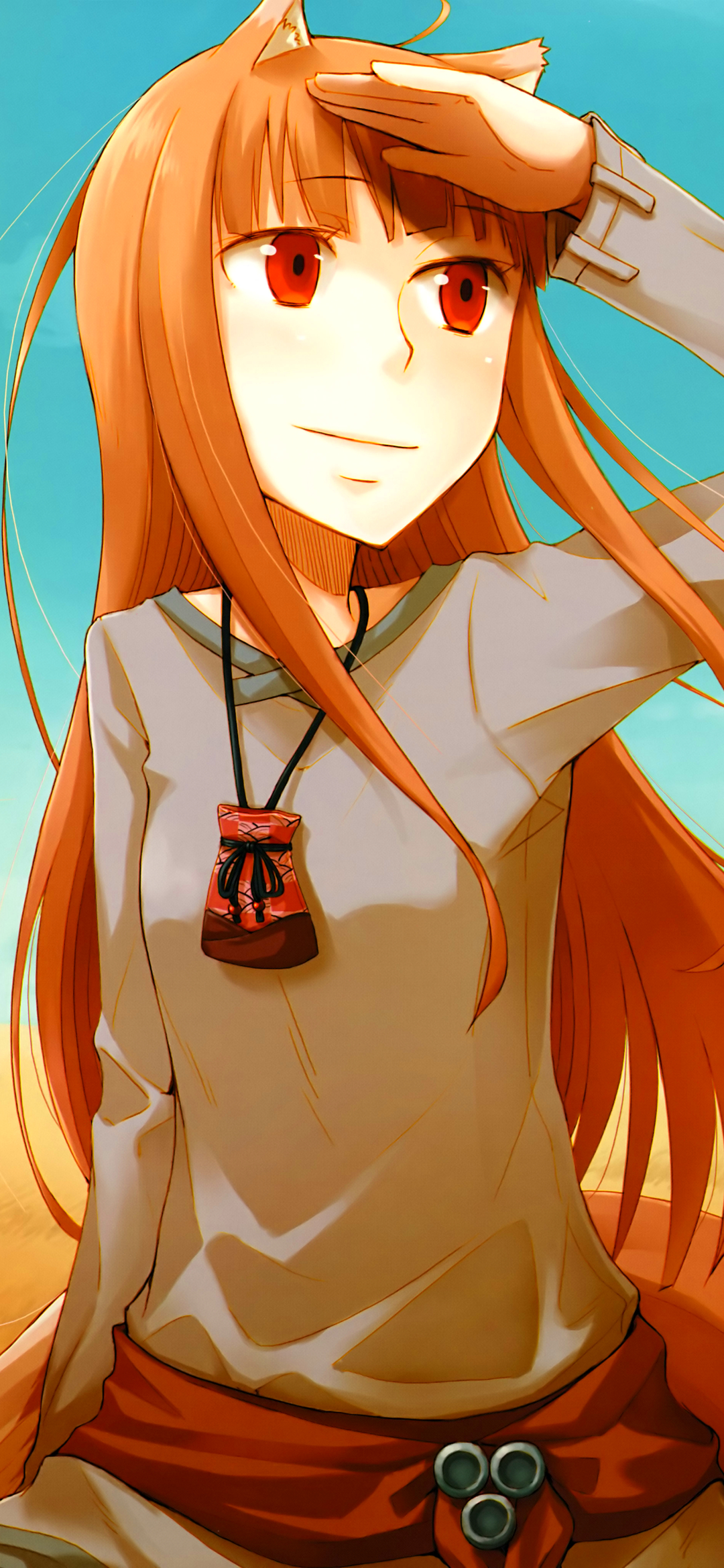 Download mobile wallpaper Anime, Long Hair, Brown Hair, Holo (Spice & Wolf), Spice And Wolf, Kemonomimi for free.