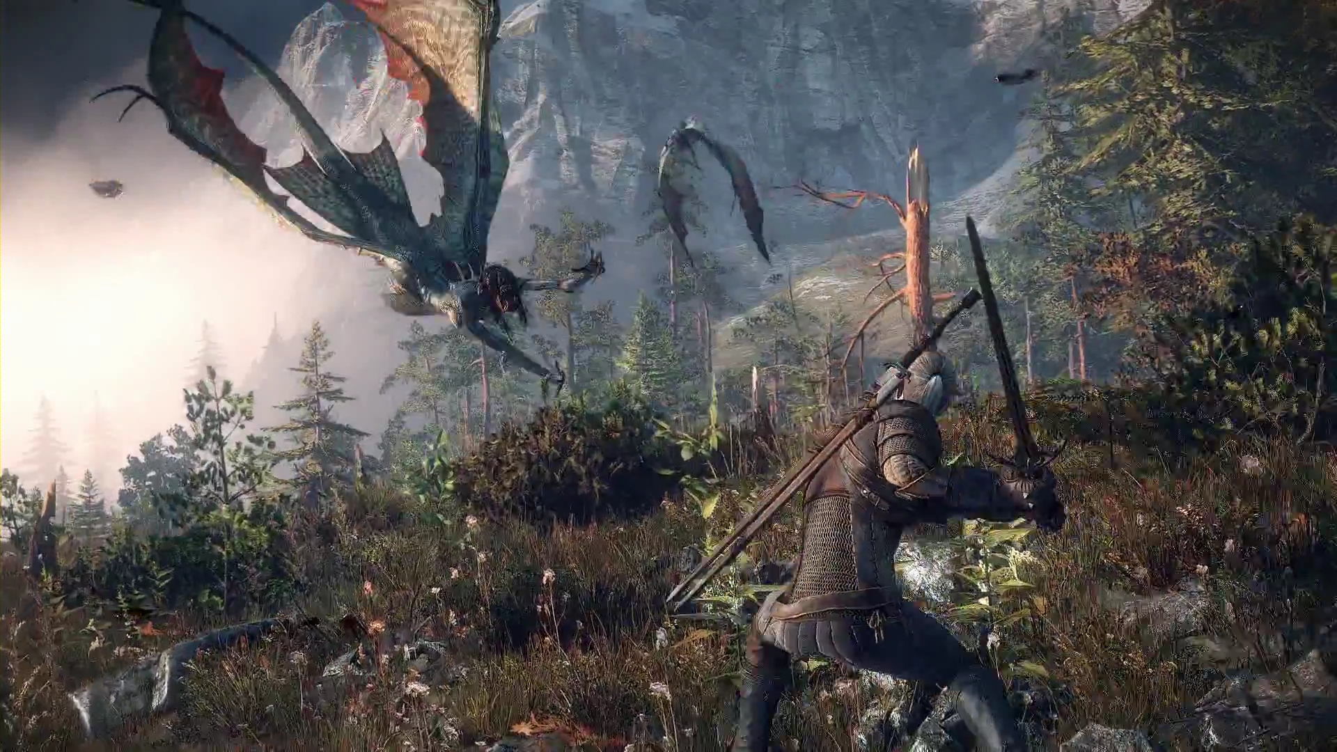 Laden Sie das Computerspiele, The Witcher 3: Wild Hunt-Bild kostenlos auf Ihren PC-Desktop herunter