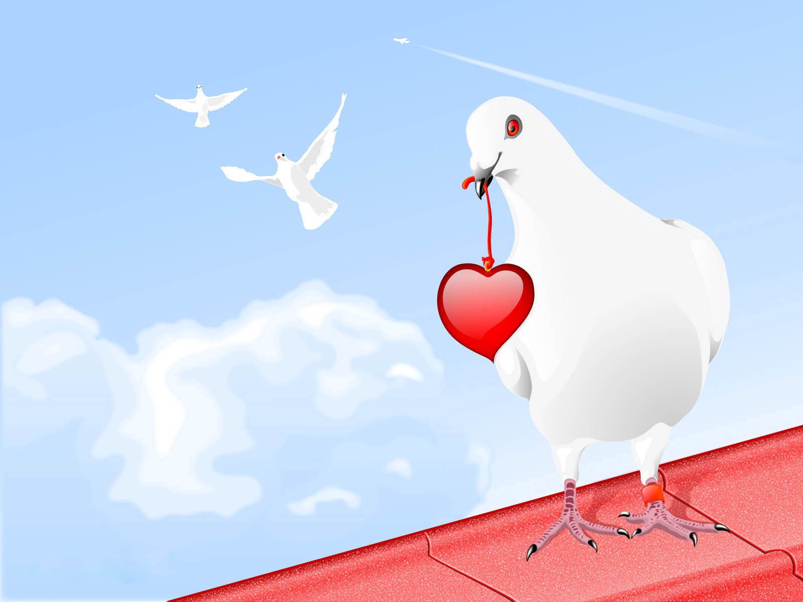 151715 скачать картинку птица, сердце, голубь, вектор, краски - обои и заставки бесплатно