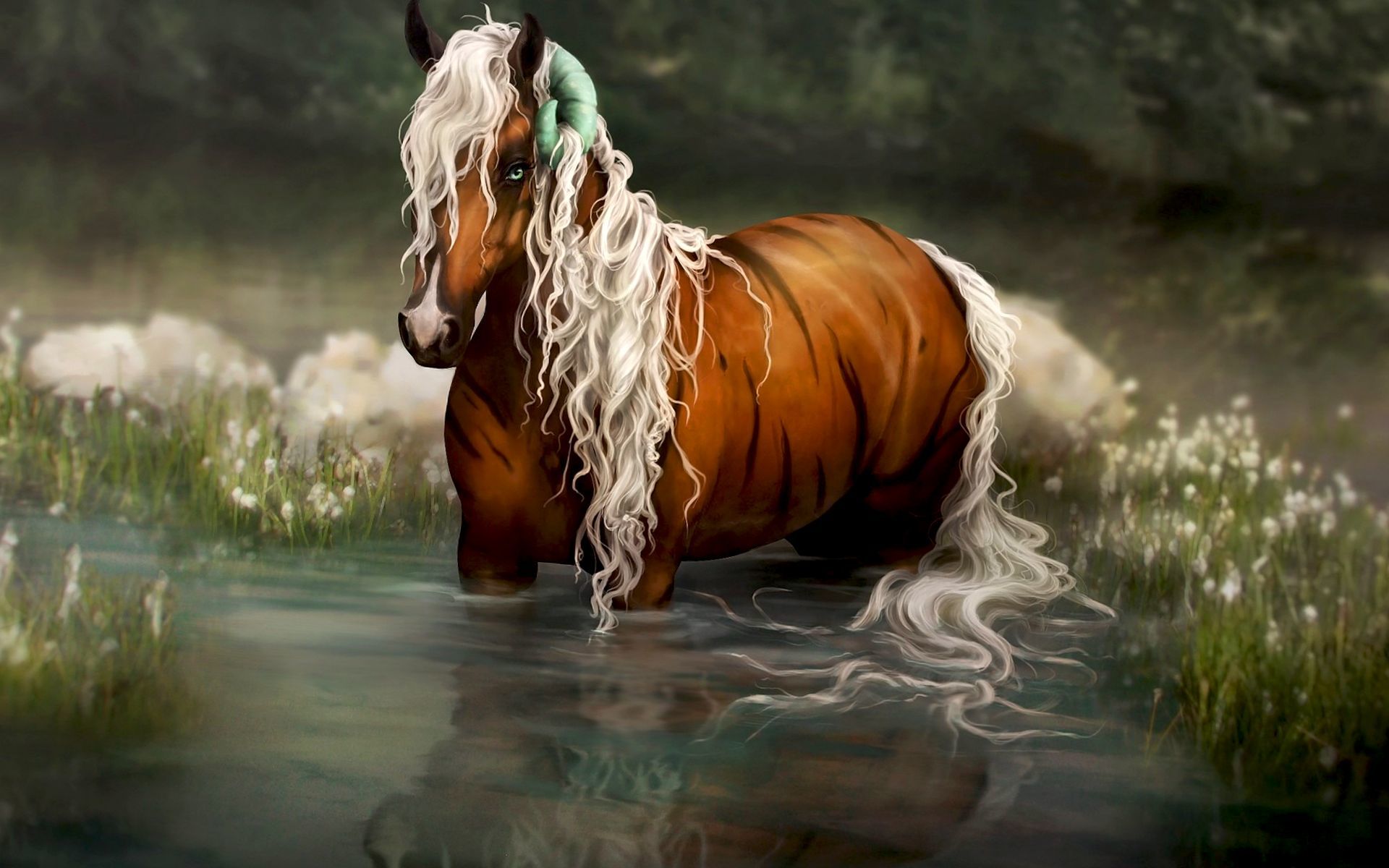 無料モバイル壁紙動物, 馬, 写真をダウンロードします。